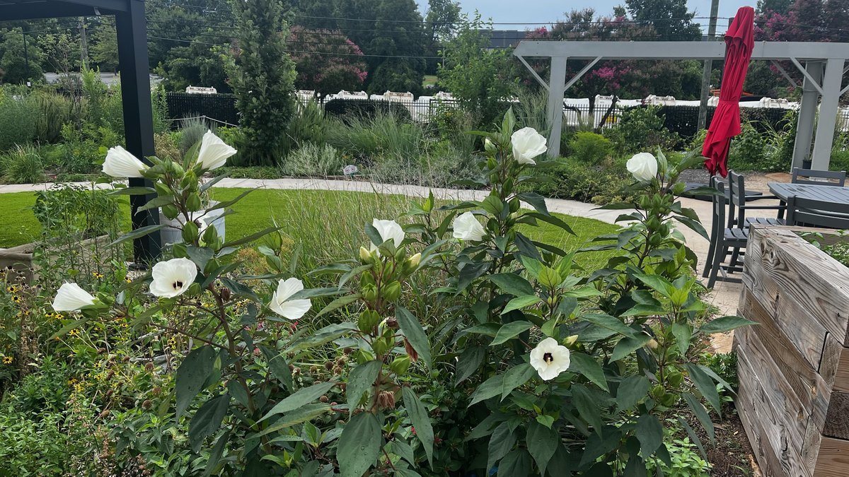 garden-07-05.jpg