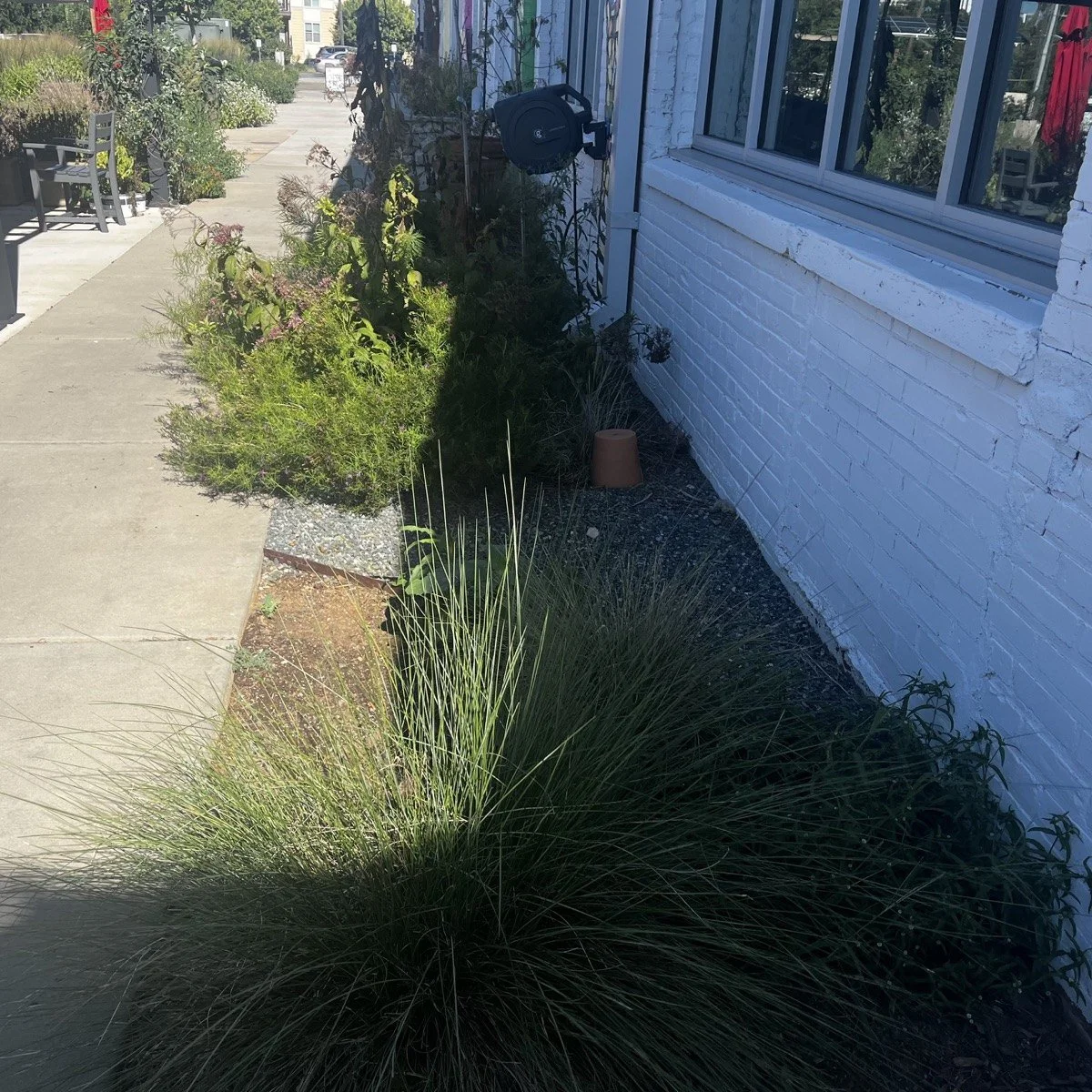 garden-14-01.jpg
