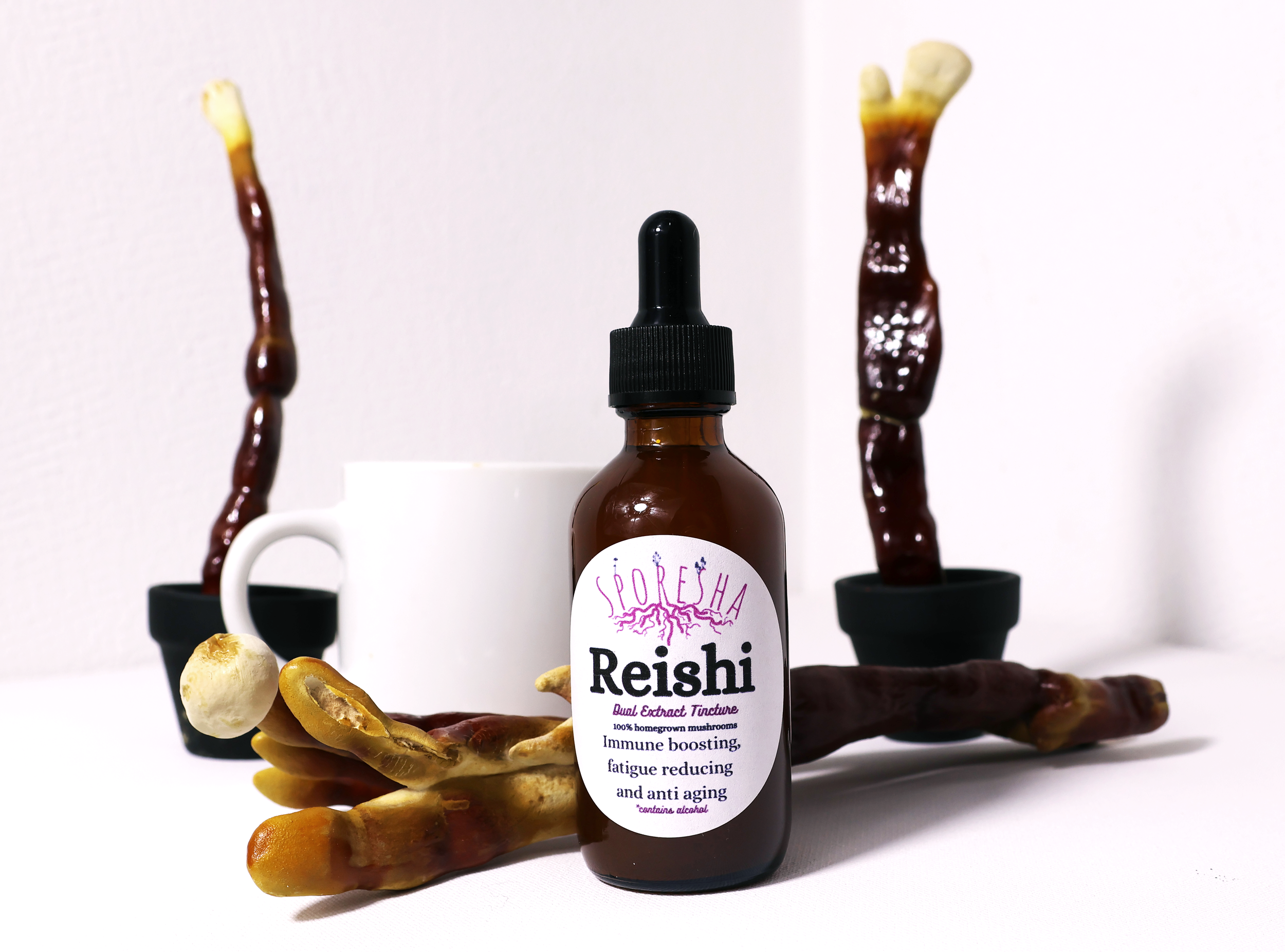 reishi decor.png