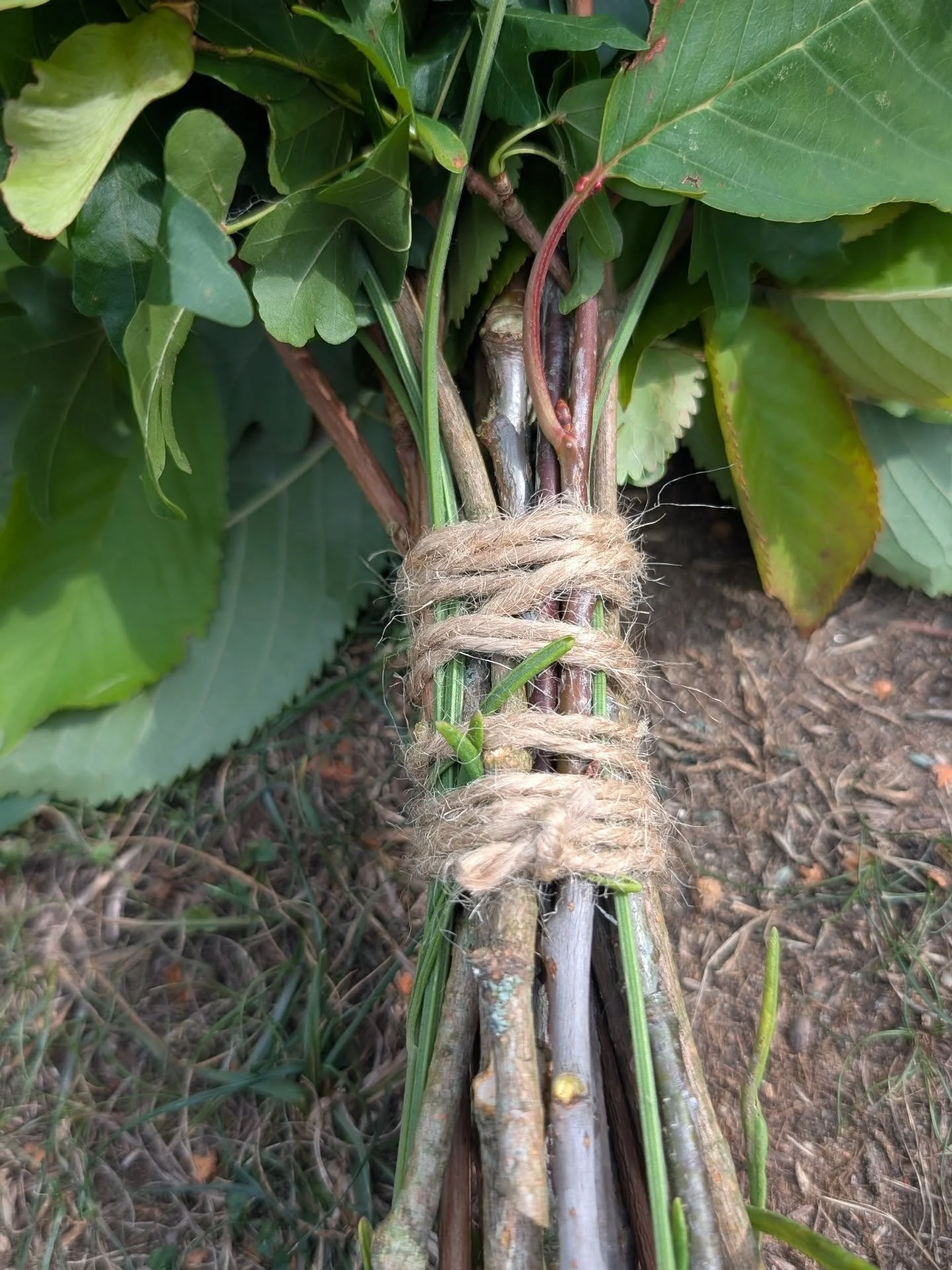There’s something meditative about foraging and tying sauna whisks. The scent of the leaves, the feel of the branches, the simple act of working with your hands. 🌿
This one was made back in summer with a lavender infusion. I love the creativi