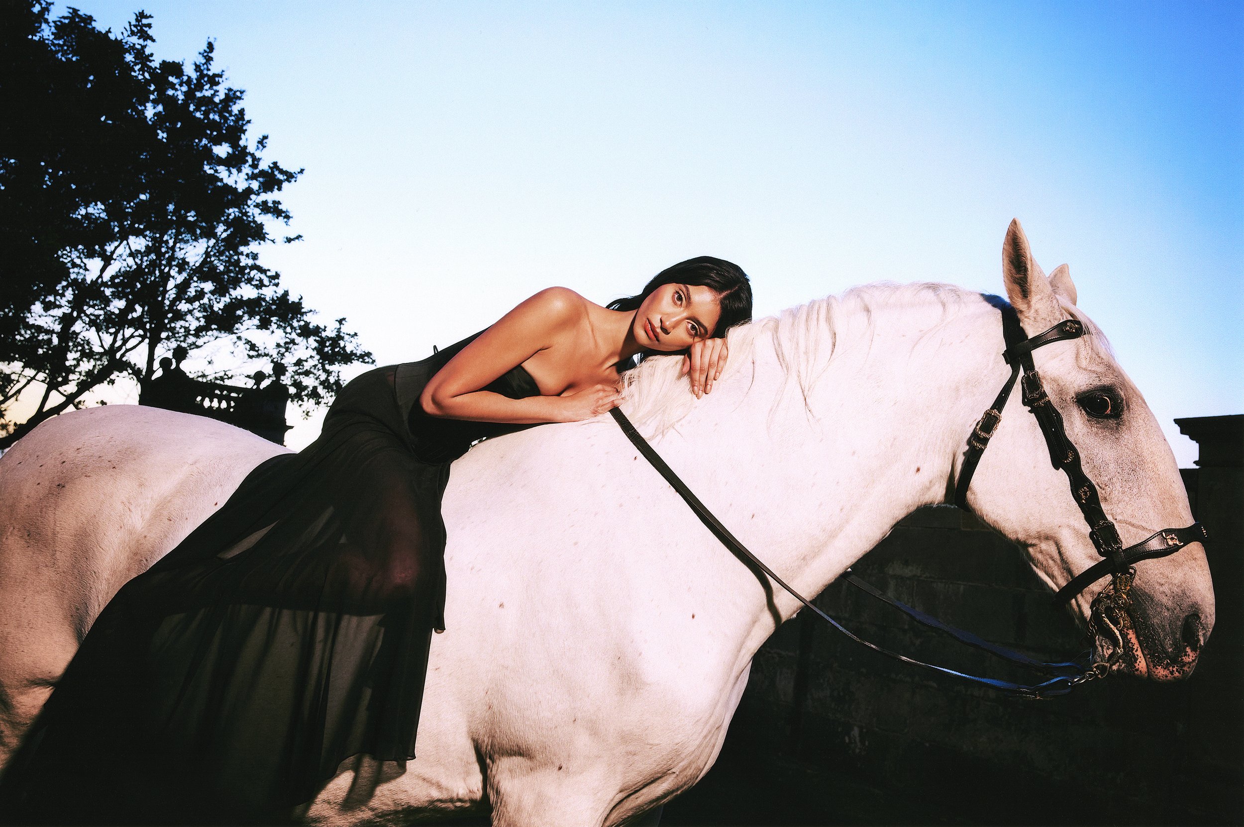 img20251009_05020028 copy.jpg