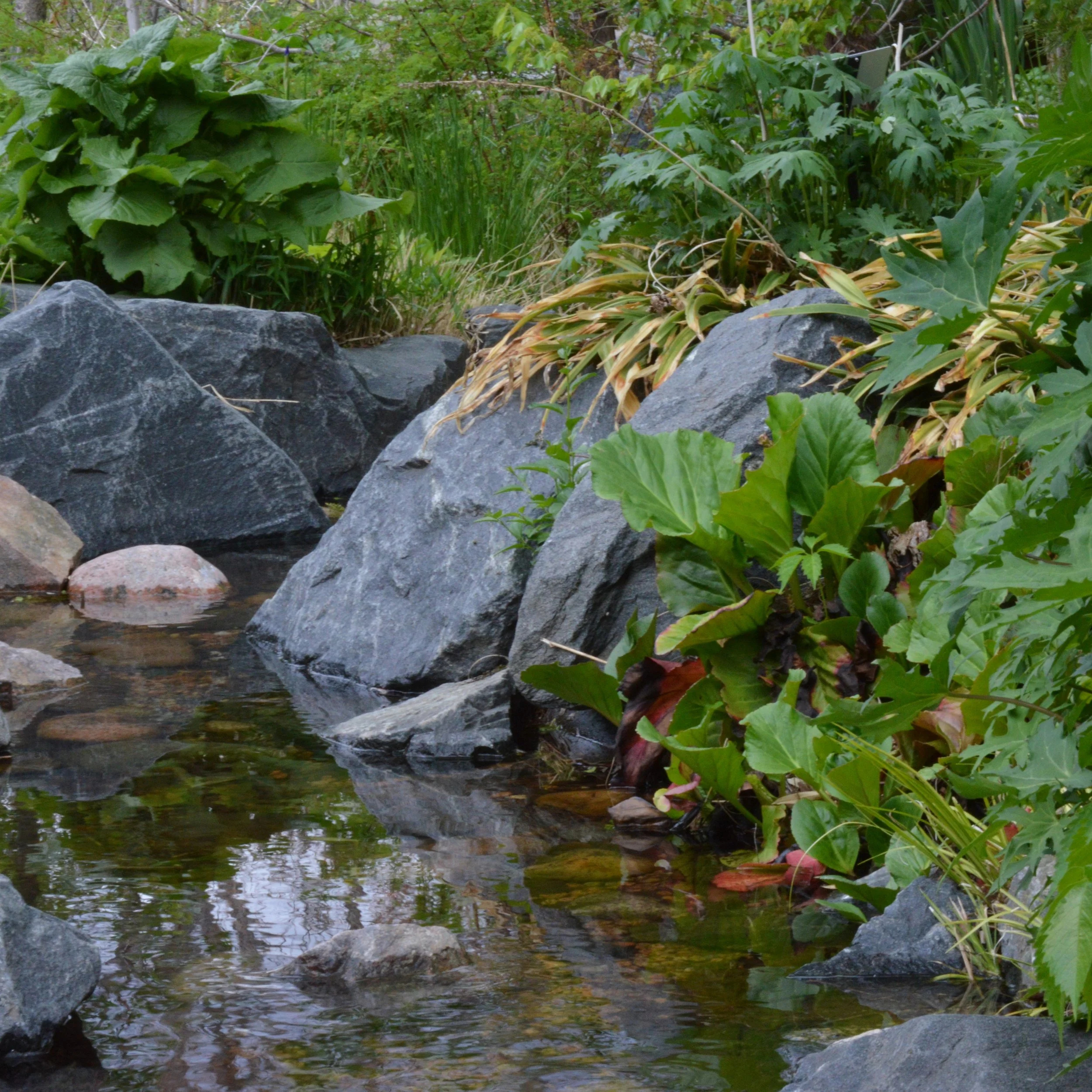 pond-with-waterfall-aquablue-stone.jpg