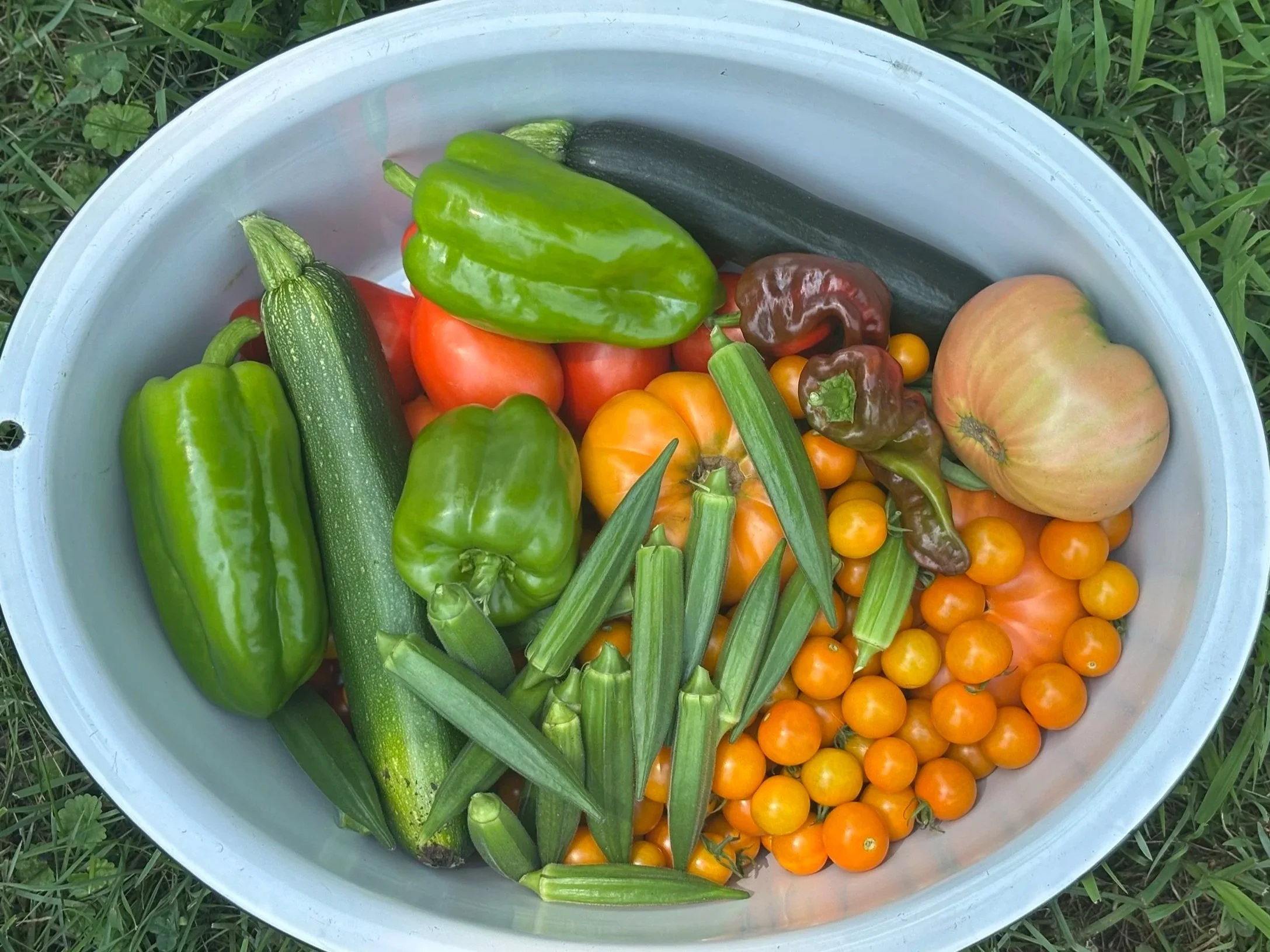 so many veggies, we had to write about it again