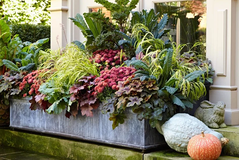 bringing autumn’s colors to life with fall containers