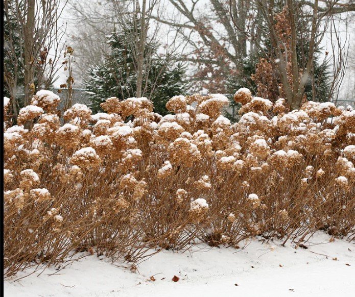 planning ahead for spring landscape projects in the western suburbs