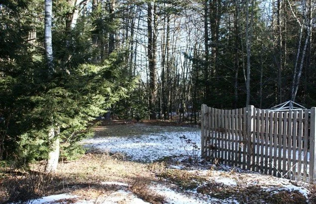 a sunny week, fresh air, and space to think about your landscape