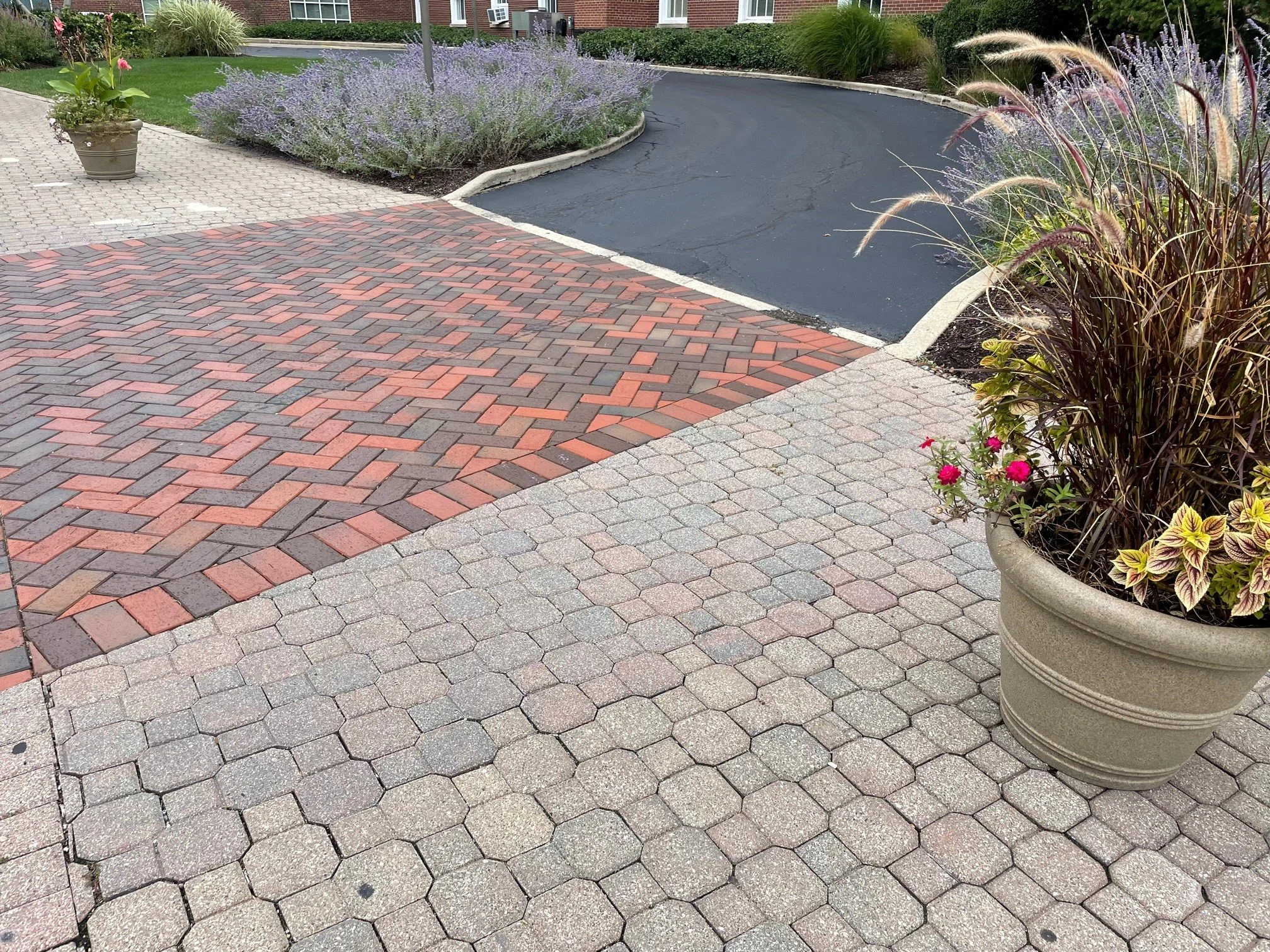 clay vs concrete pavers: what really happens over time