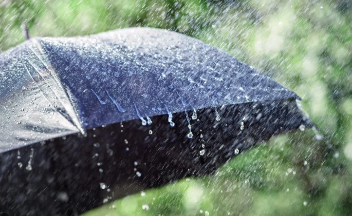 spring rain days and the rhythm of landscape installation in the western suburbs