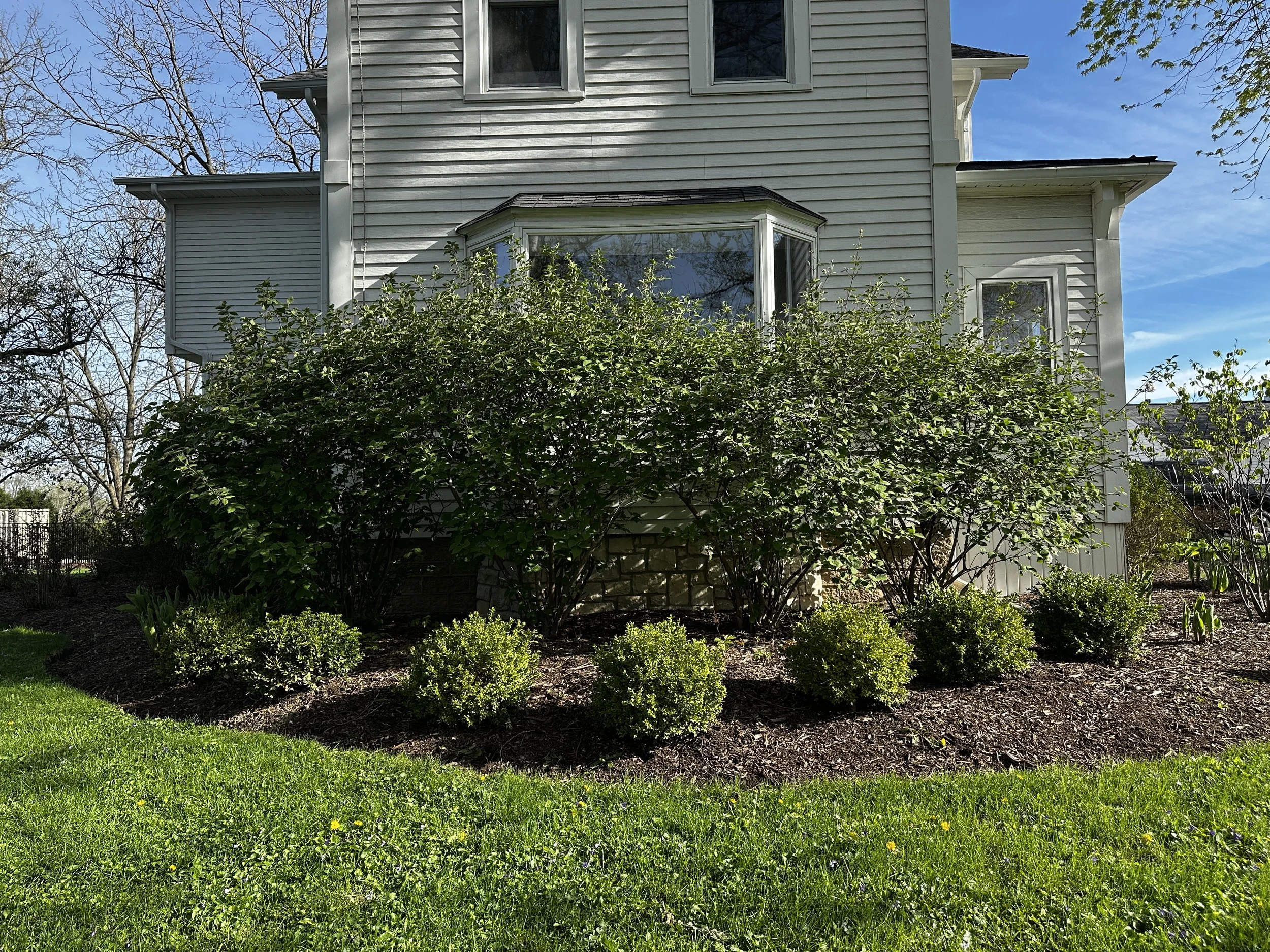 spring landscape cleanup tips for a healthy yard in the western suburbs of chicago