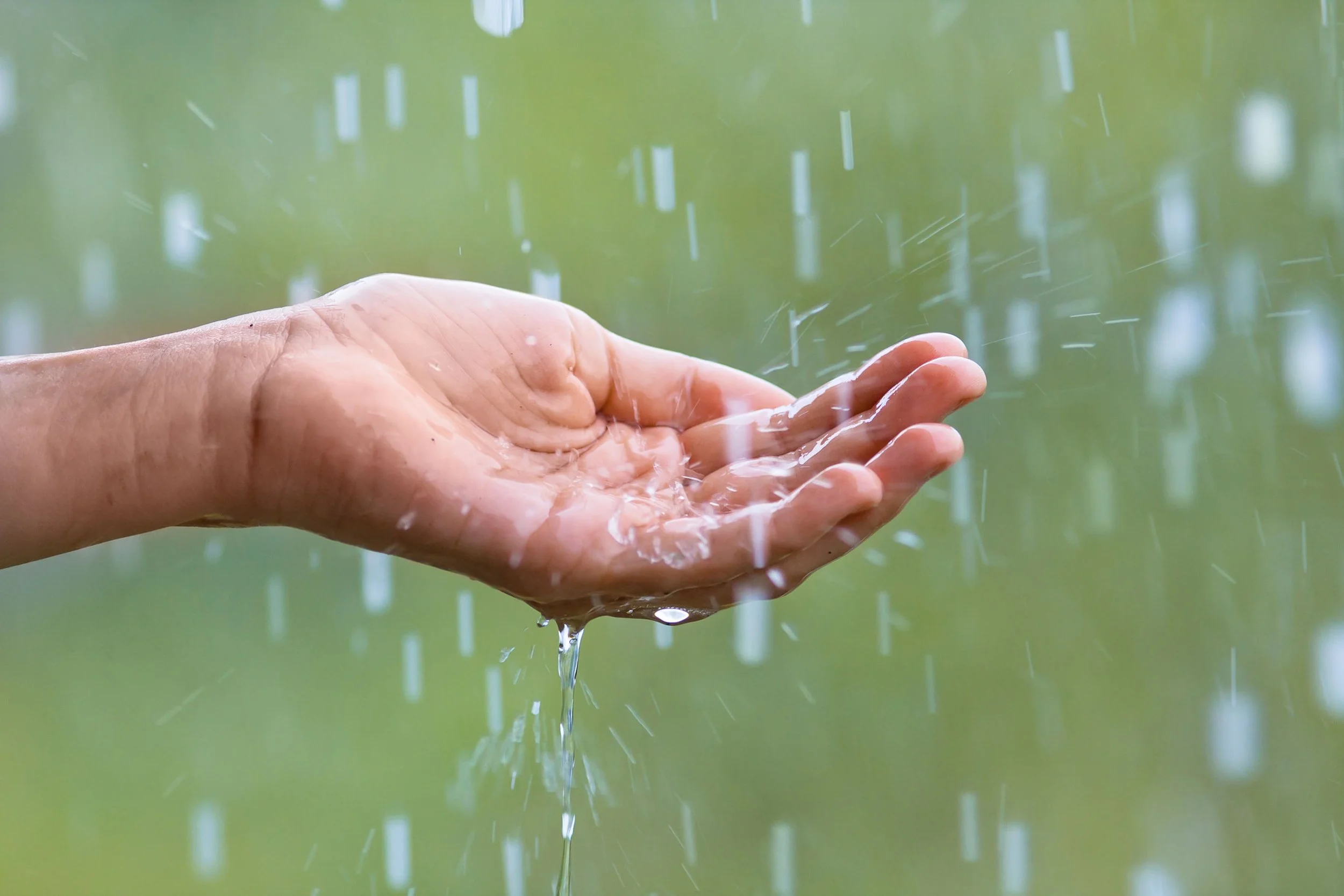 spring rain delays and what they mean for your landscape project