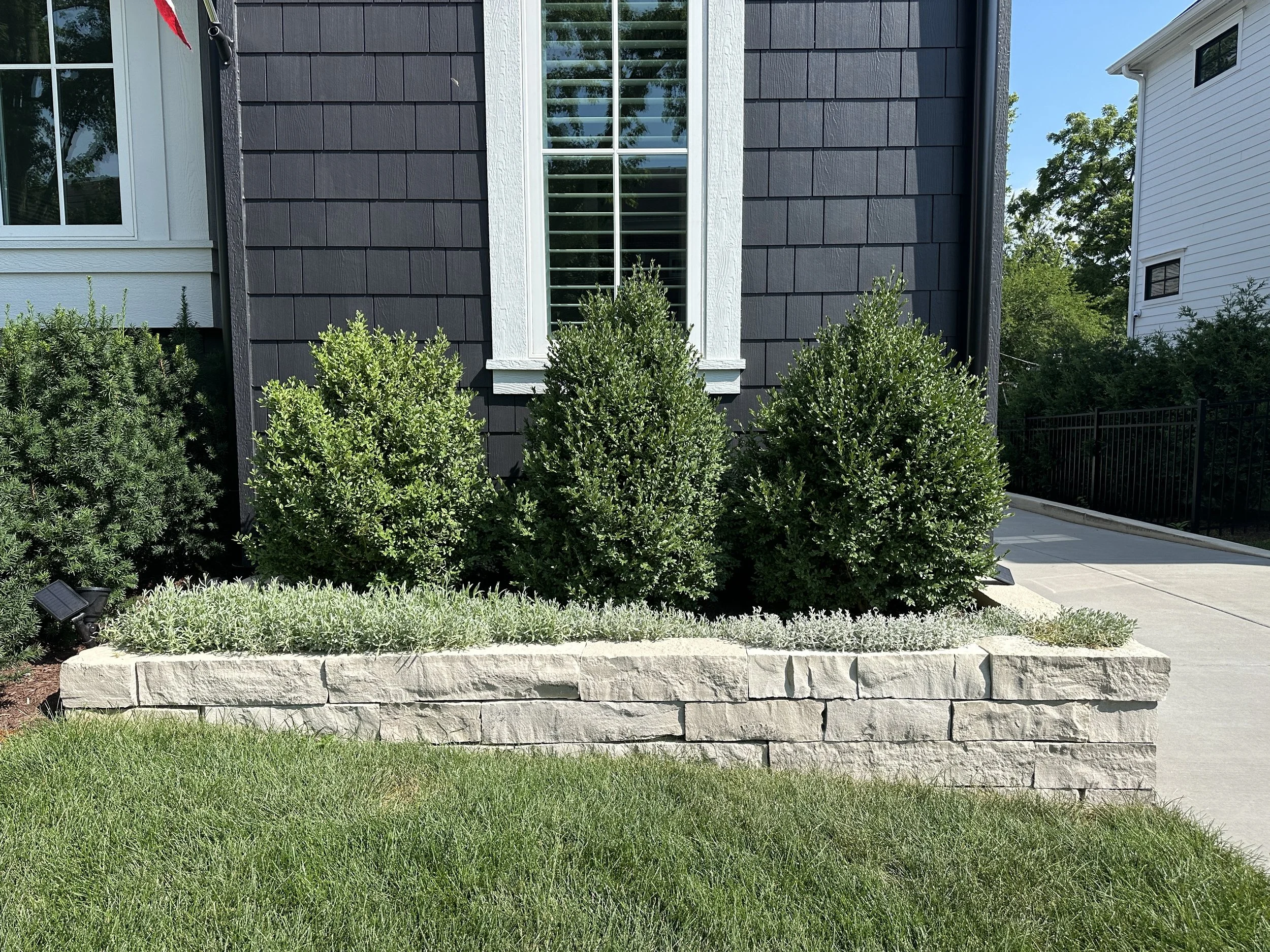why placement matters in landscape design and construction