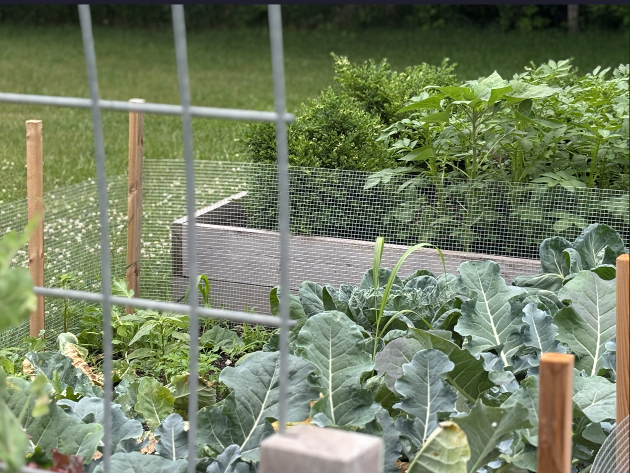 getting your garden ready for the season: intentional planting bed design and seasonal landscape preparation
