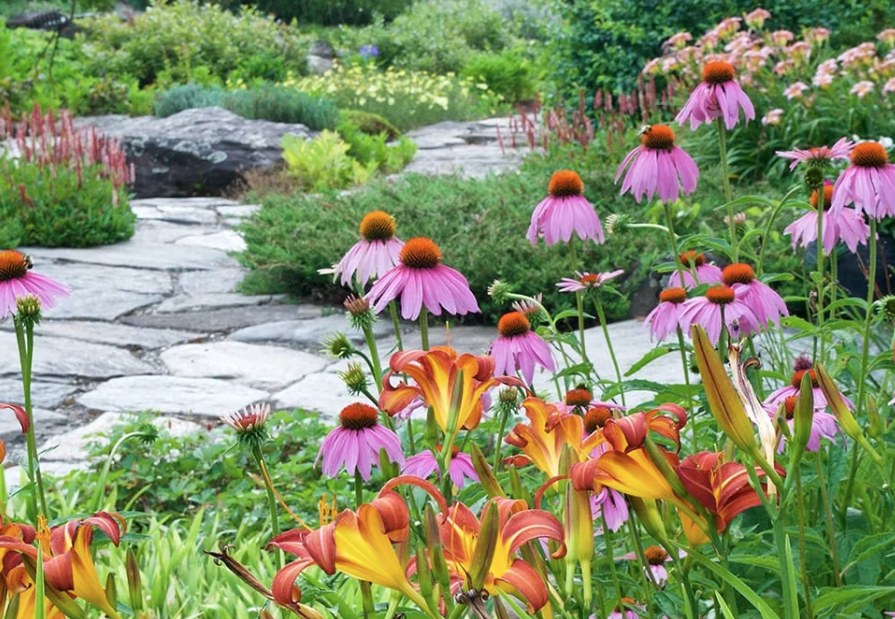 the joy of being outdoors: how thoughtful landscapes support wellness and connection