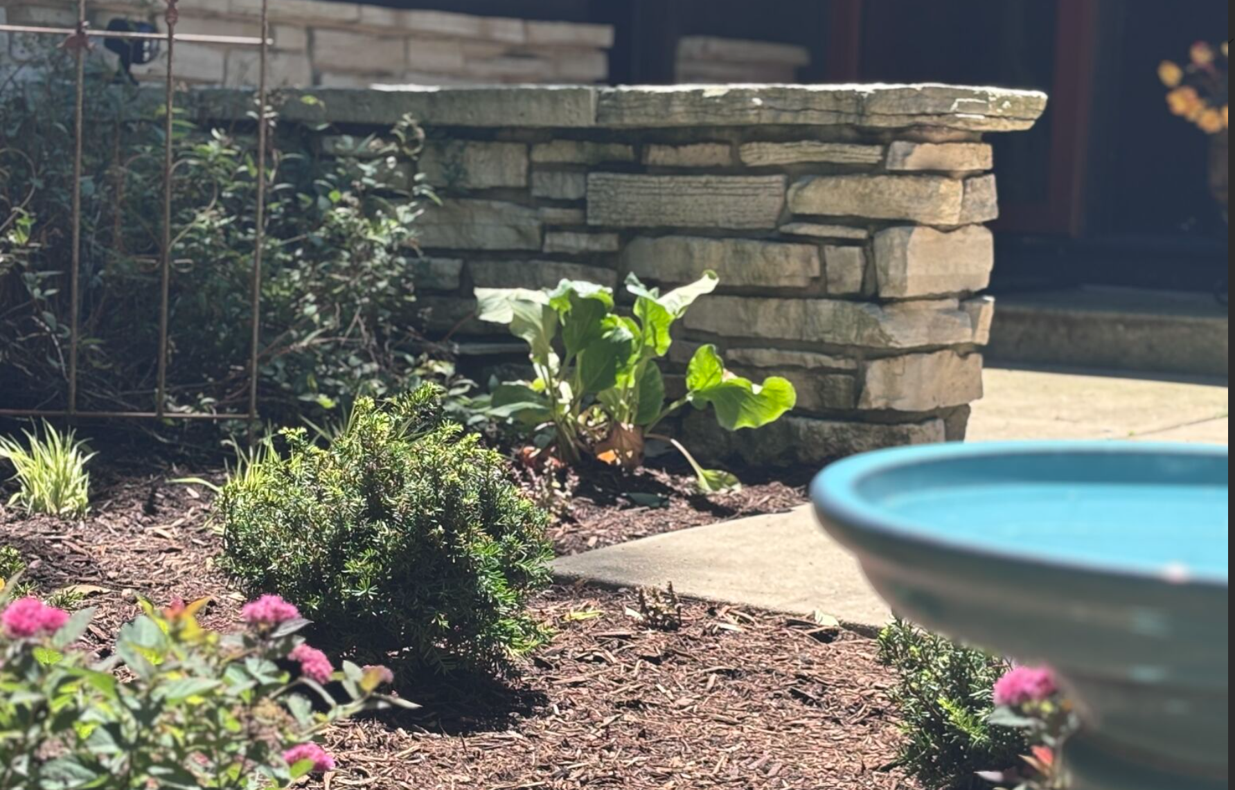 embracing planting season: creating beautiful landscapes, meaningful connections, and wellness through design