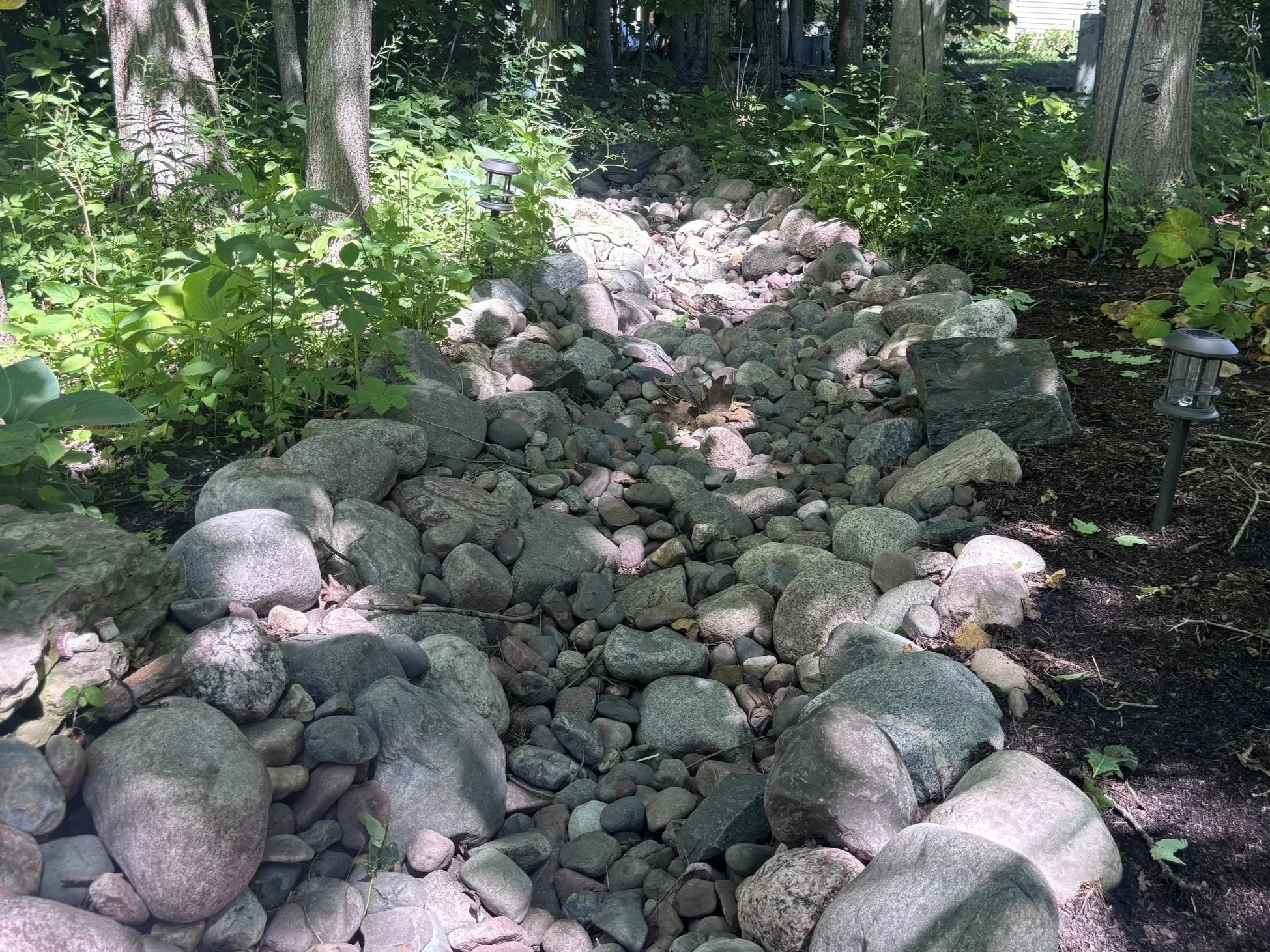 dry stream beds: blending beauty and function in your landscape