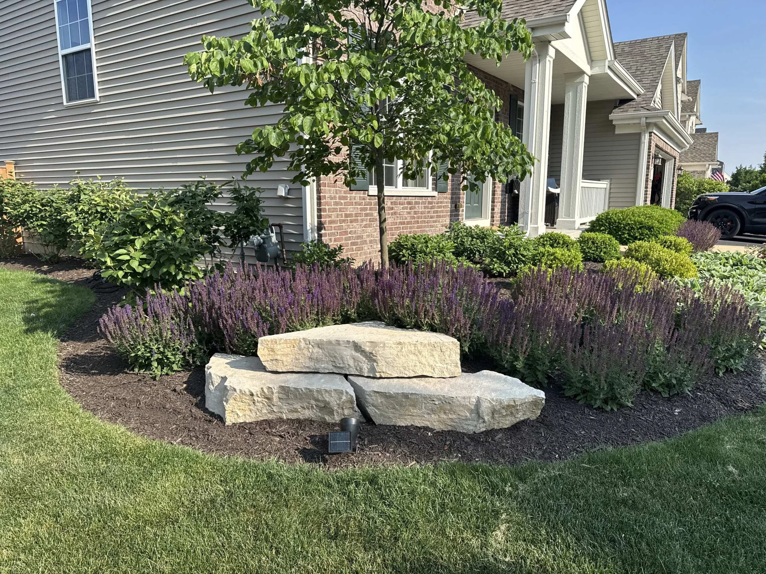 bringing your dream backyard to life