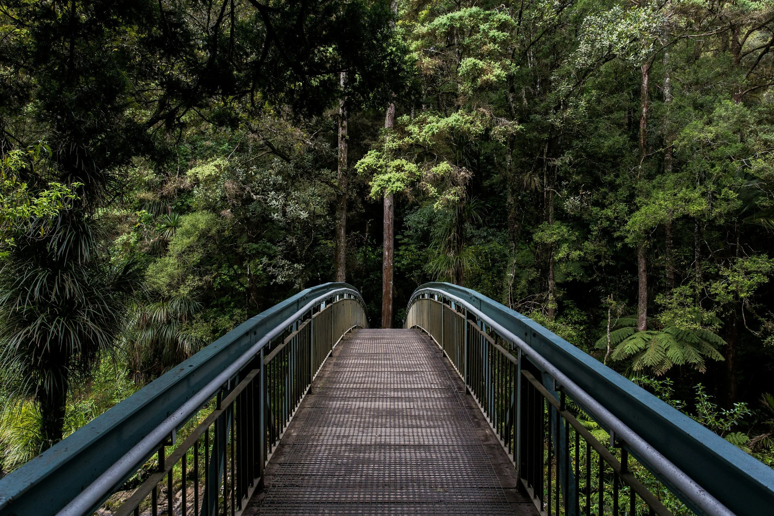 creating a secluded outdoor retreat for meditation and peaceful living