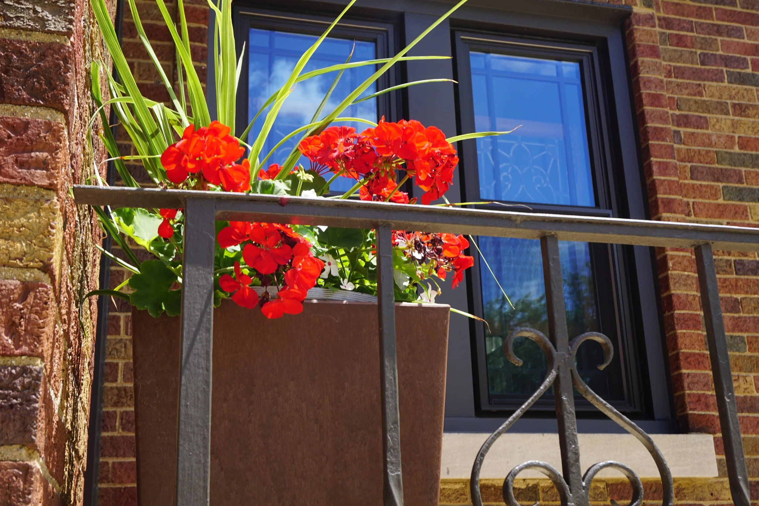 filling your landscape with fragrance: creating a backyard that delights every sense