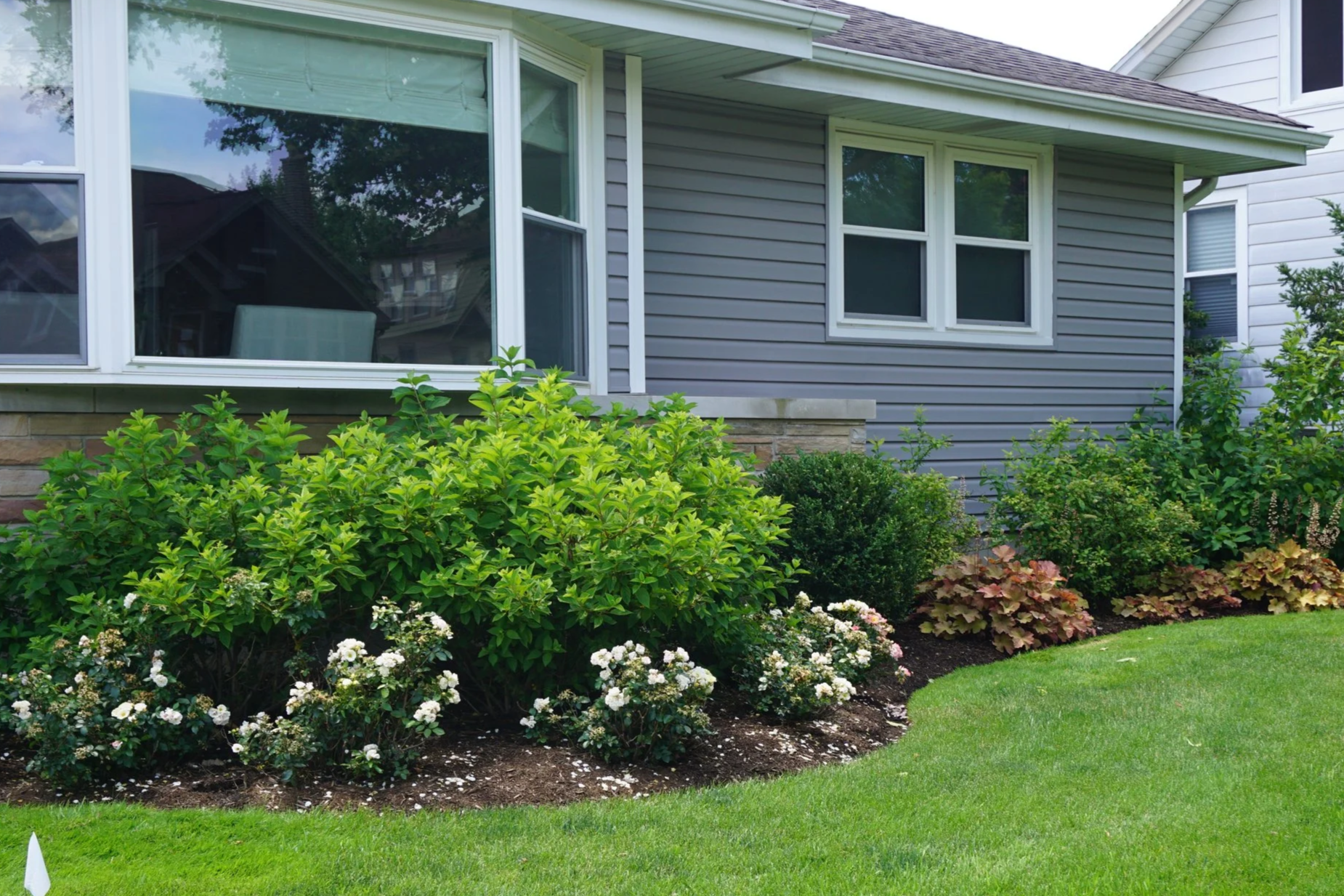 good things take time: why your landscape is worth the wait