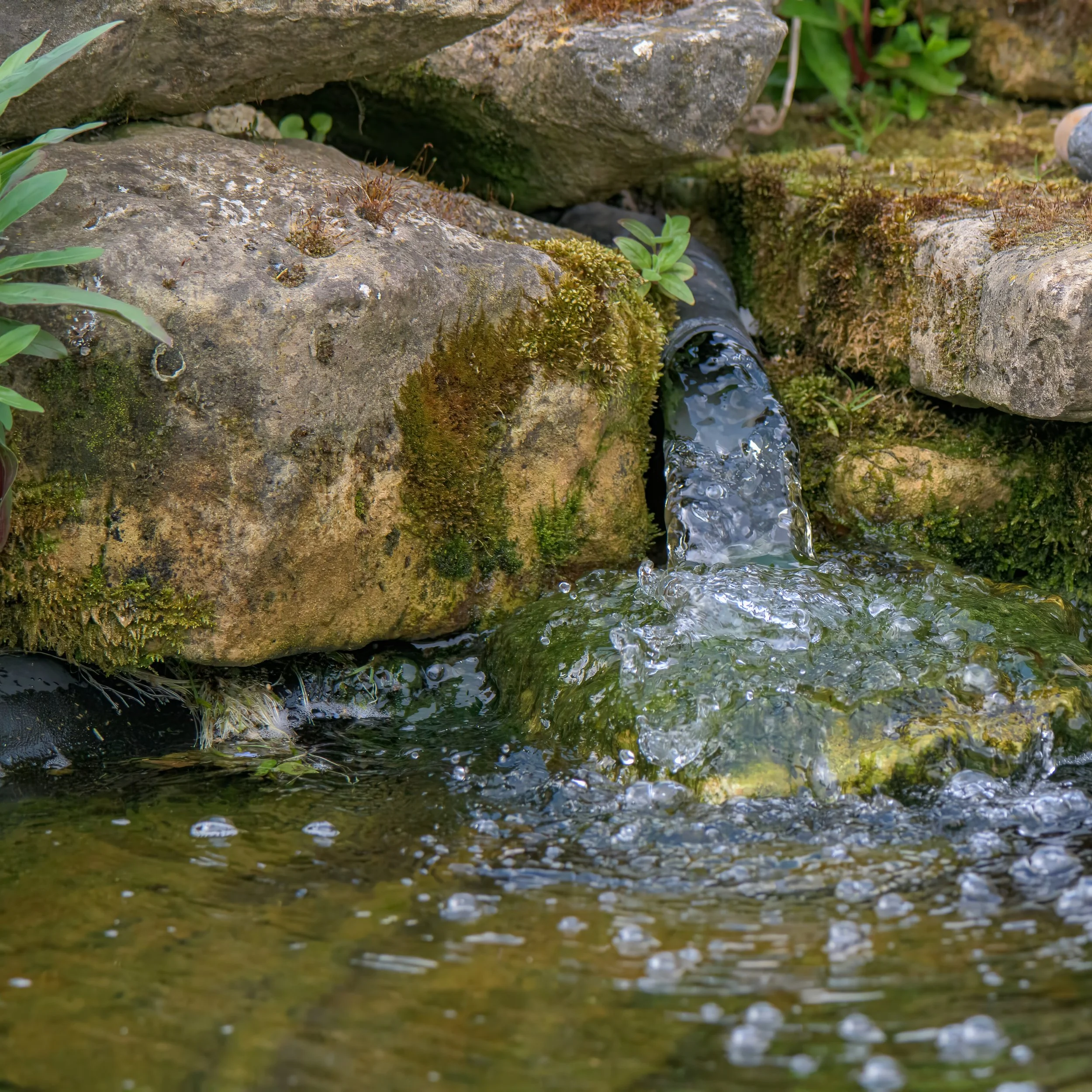 moss-boulder-waterfall-pond.jpg
