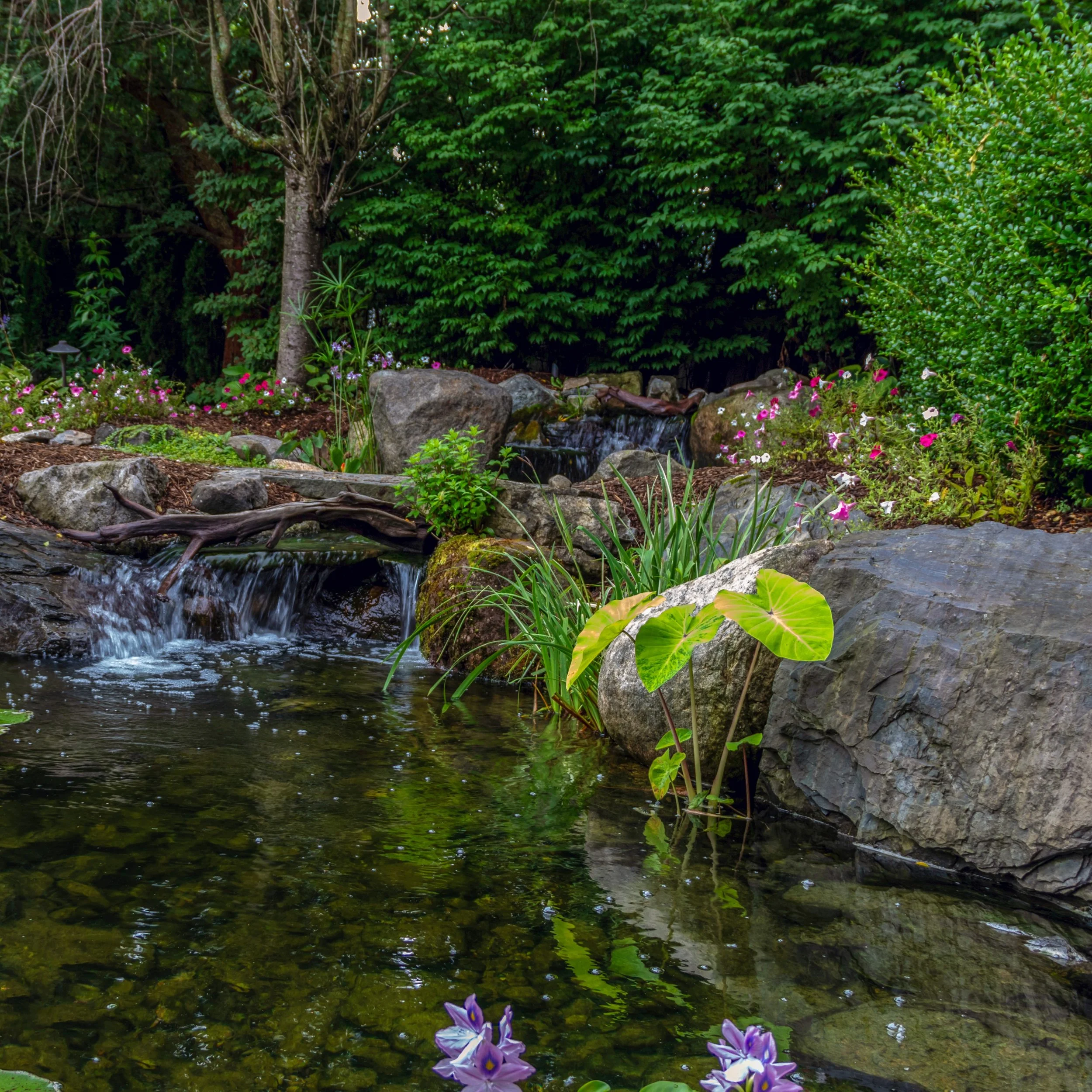 pond-surrounded-by-large-boulders.jpg