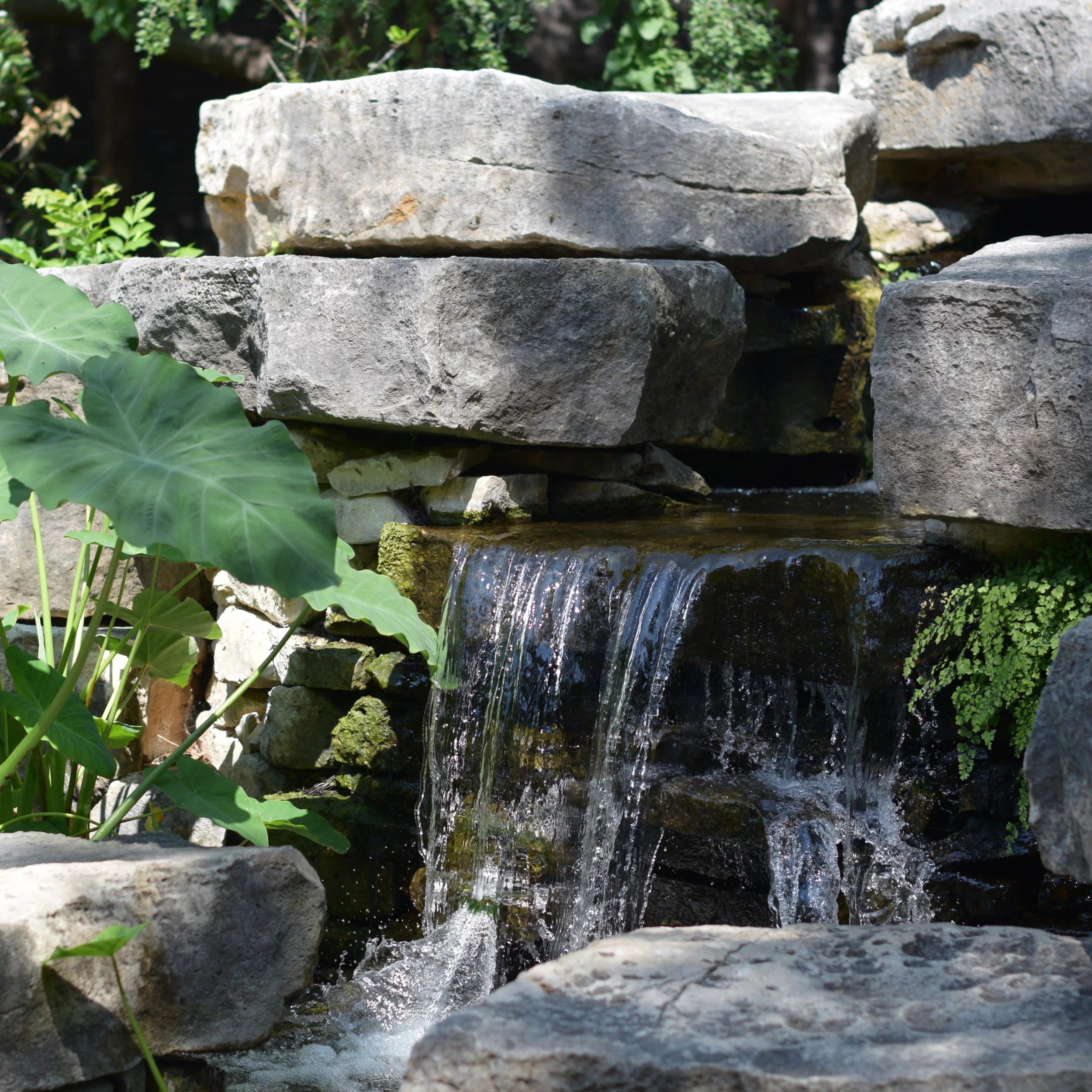 pond-with-outcropping-waterfall.jpg