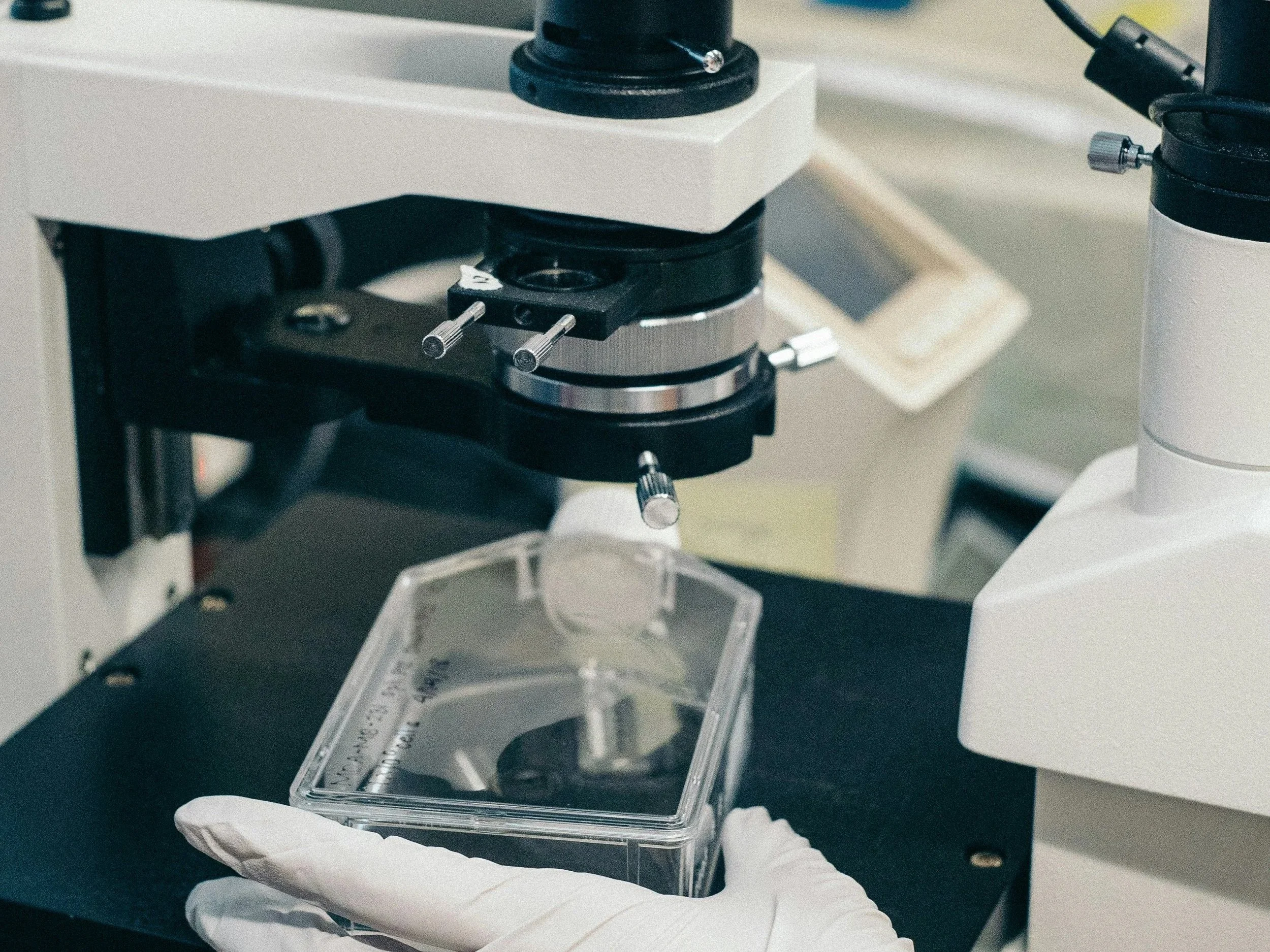 Hot Metal Campus Celebrates D’Amore Lab’s NIH Grant
