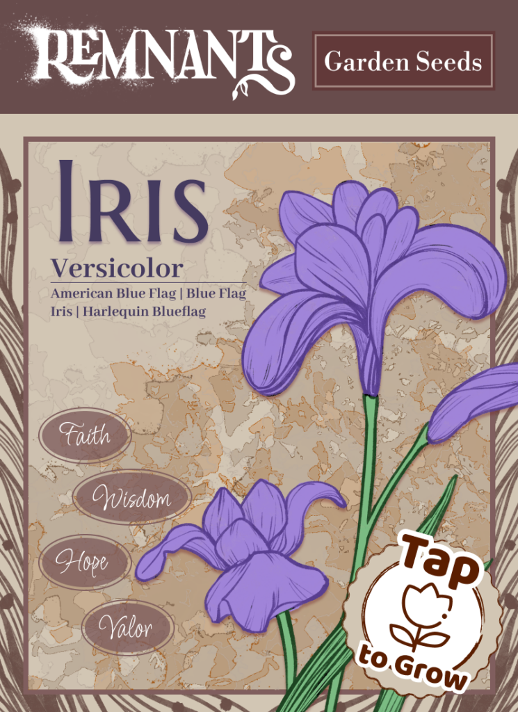 Image of one of the seed packets the Remnants team created for the experience. This packet says Iris and shows an illustrated flower with the words, "faith", "wisdom", "hope", and "valor". Image: Remnants Team.
