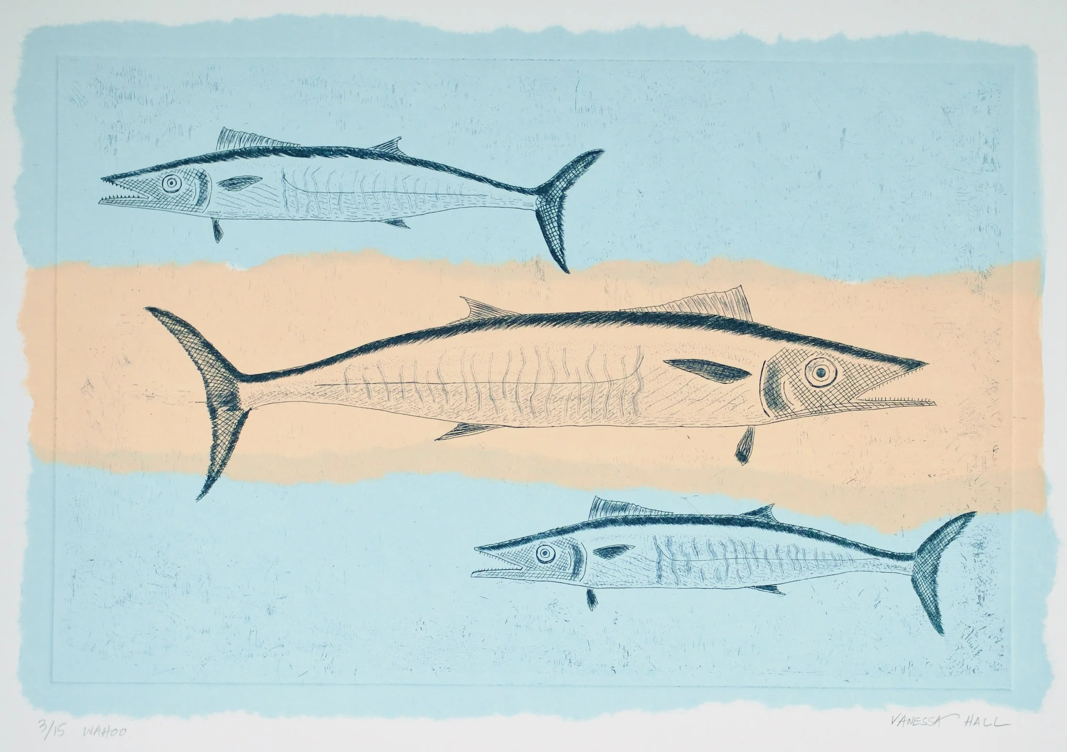"Wahoo" Etching on Chine Colle. Arches Paper Size -  53cm x 39 cm. Various Colours Available. Edition of 15. Unframed. $200.00 USD 
