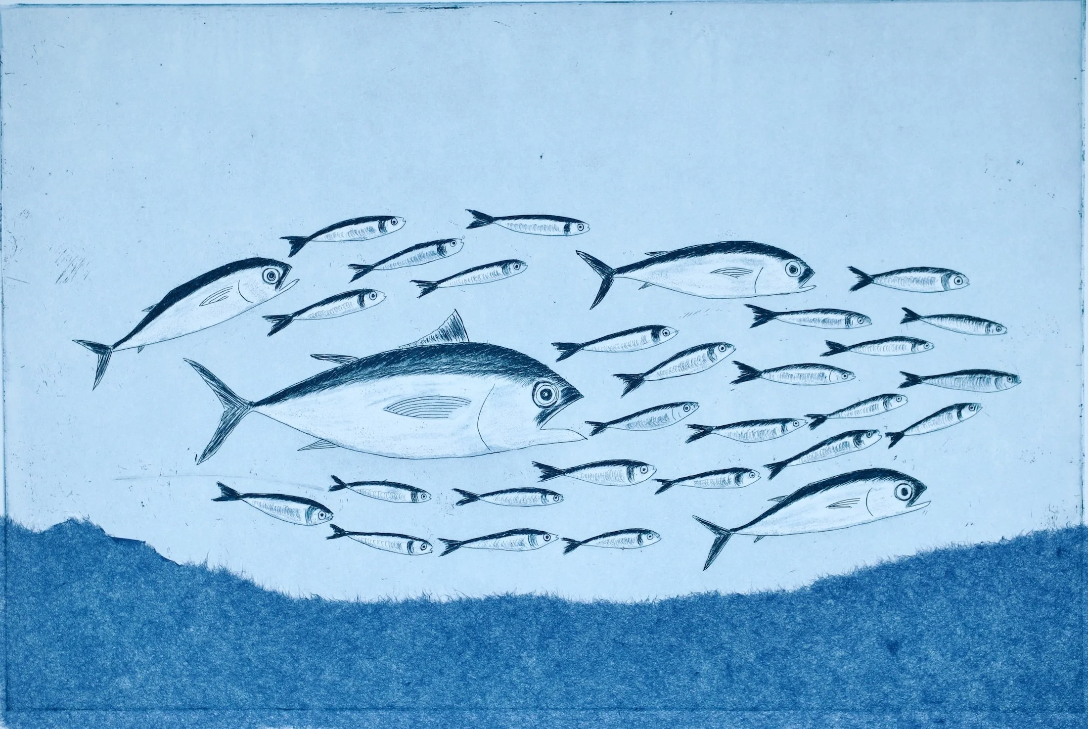 "Fish of the Night" Tuna Aquatint Etching on Chine Colle. Arches Paper Size -  53cm x 39 cm.  Unframed. $200.00 USD Edition of 8. Only 1 left. 