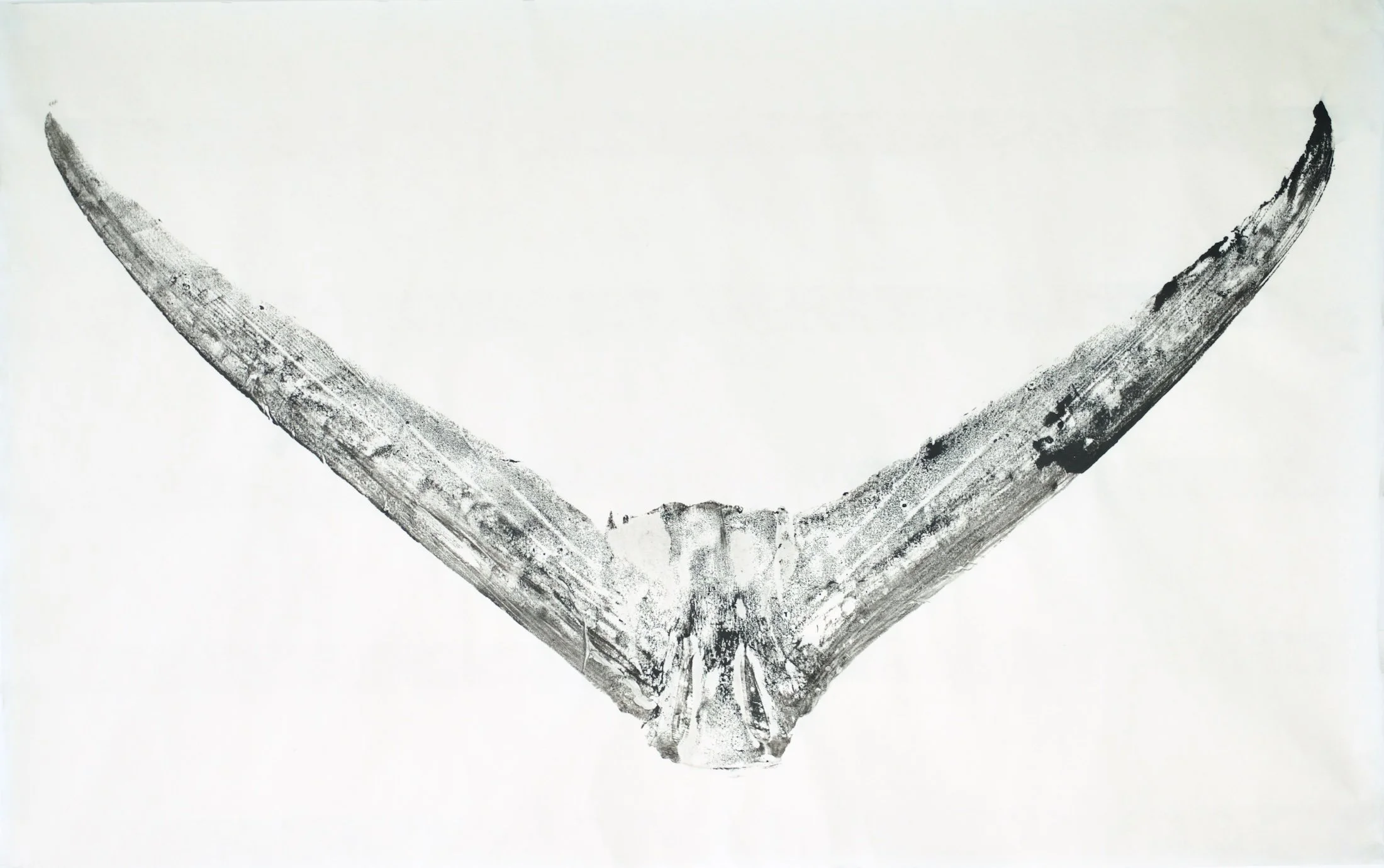 Japanese Gyotaku Marlin Tail on Washi Paper. Paper Size - 98cm x 63cm Unframed. $400.00 USD