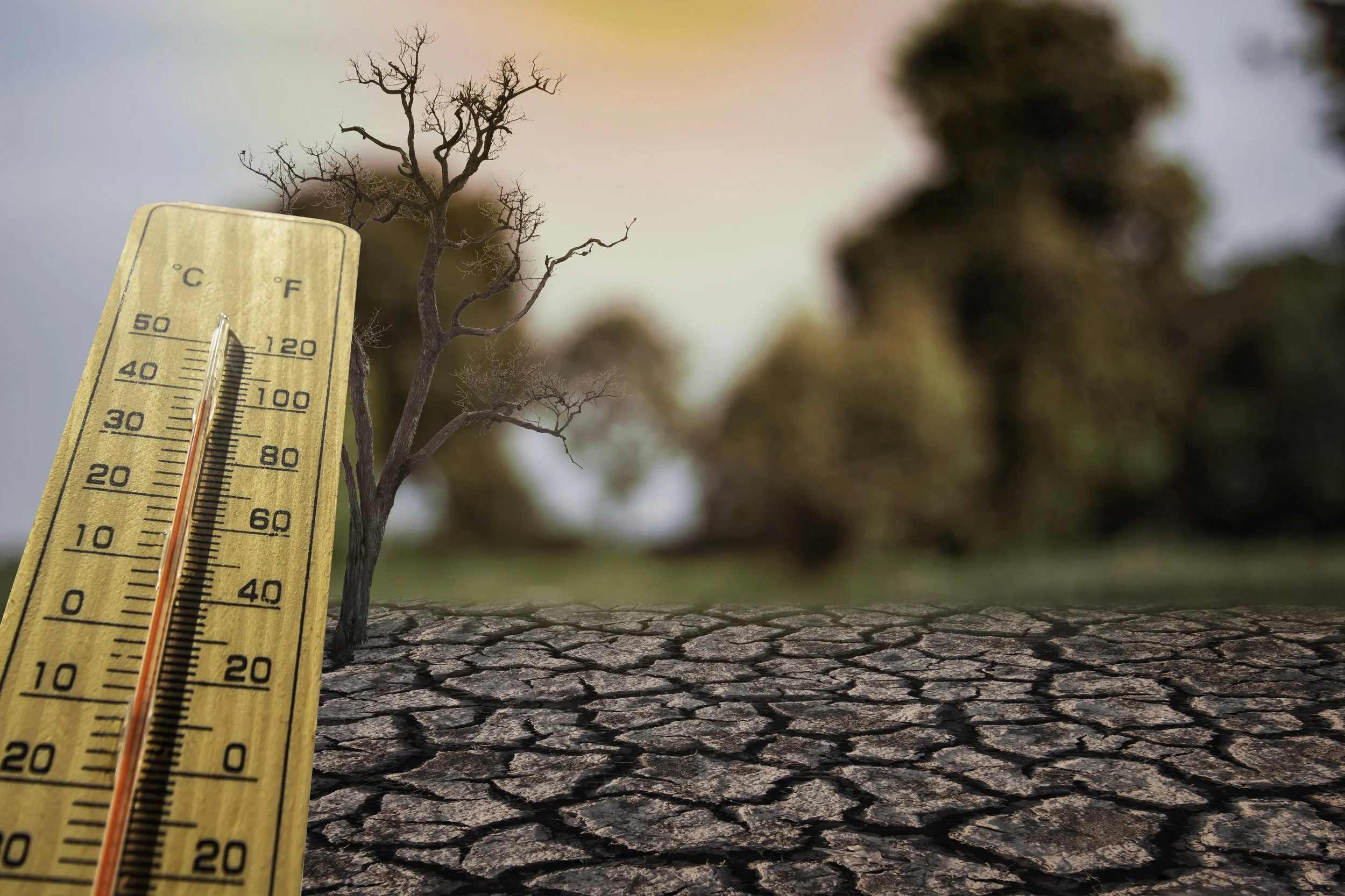 Tackling Climate Physical Risk in Food and Beverage Companies