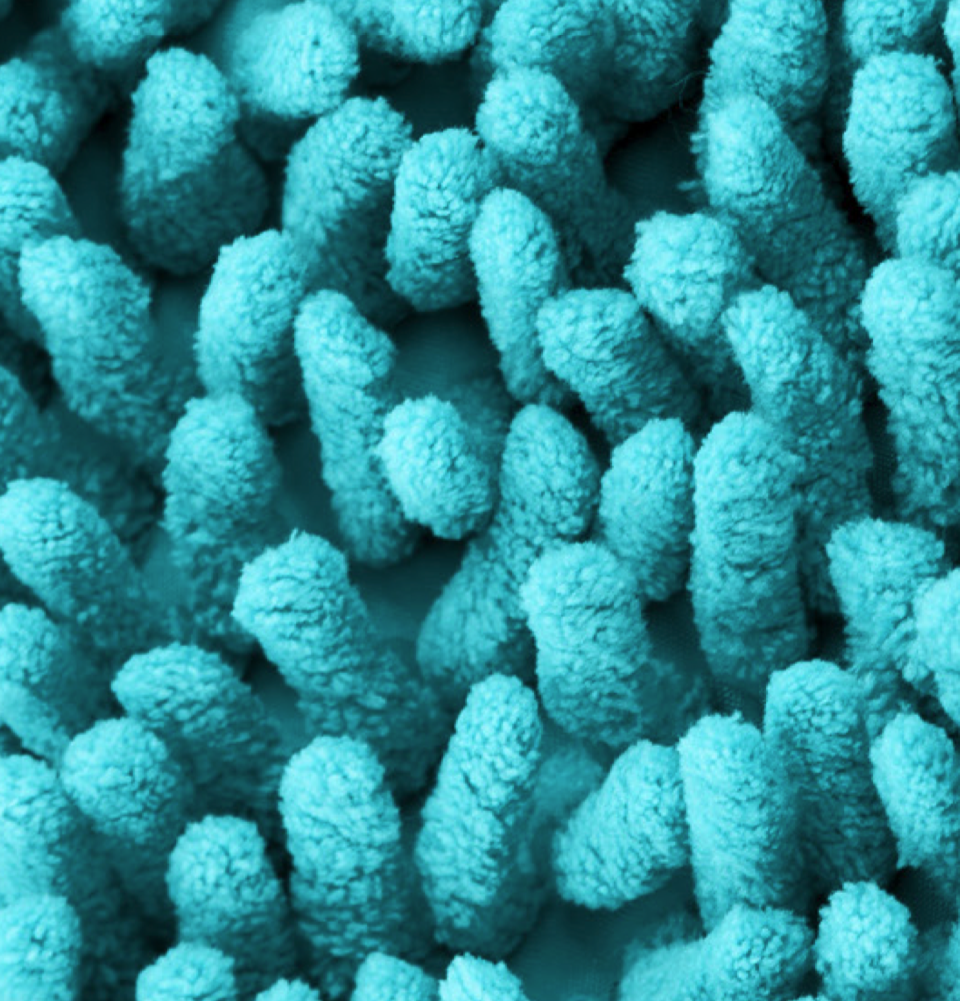 Microfibre pollution: causes, effects and interventions