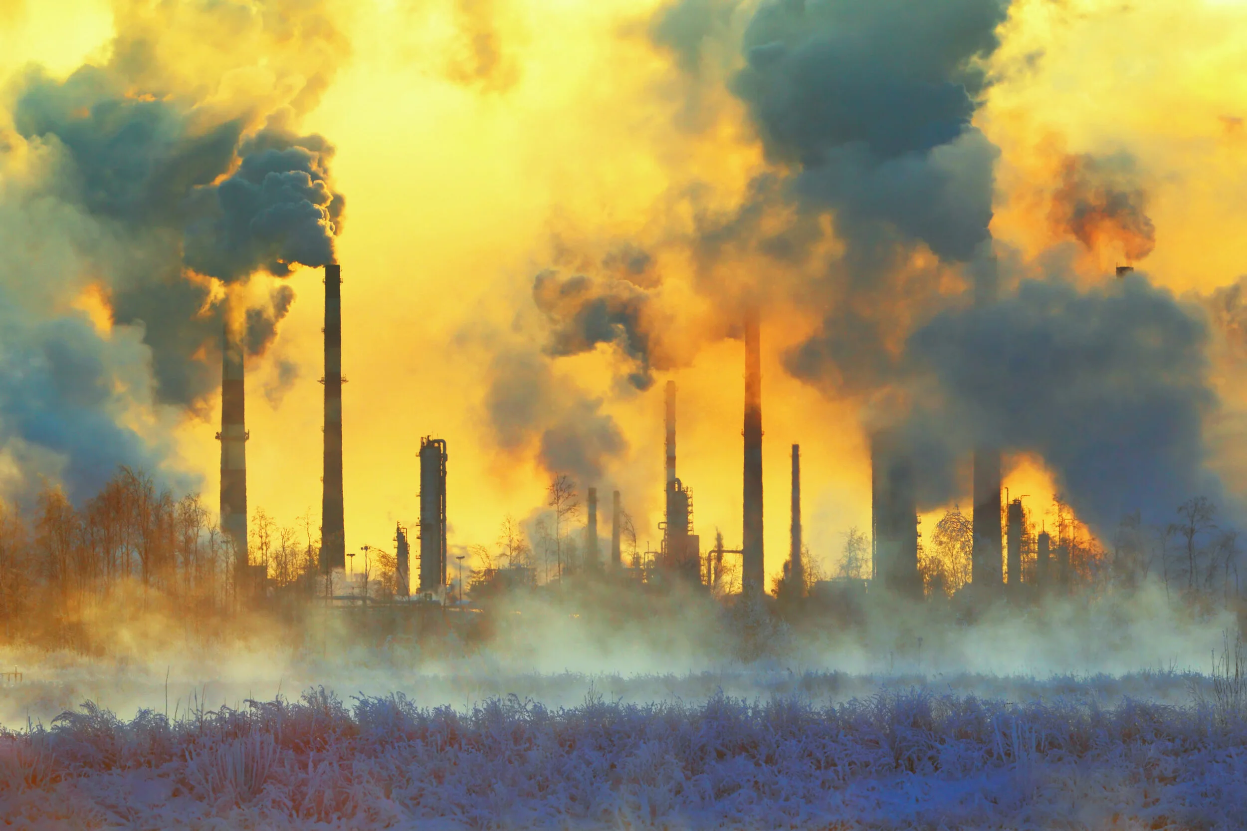 ESG Clarity:  Taking a view: Corporate lobbying on climate change