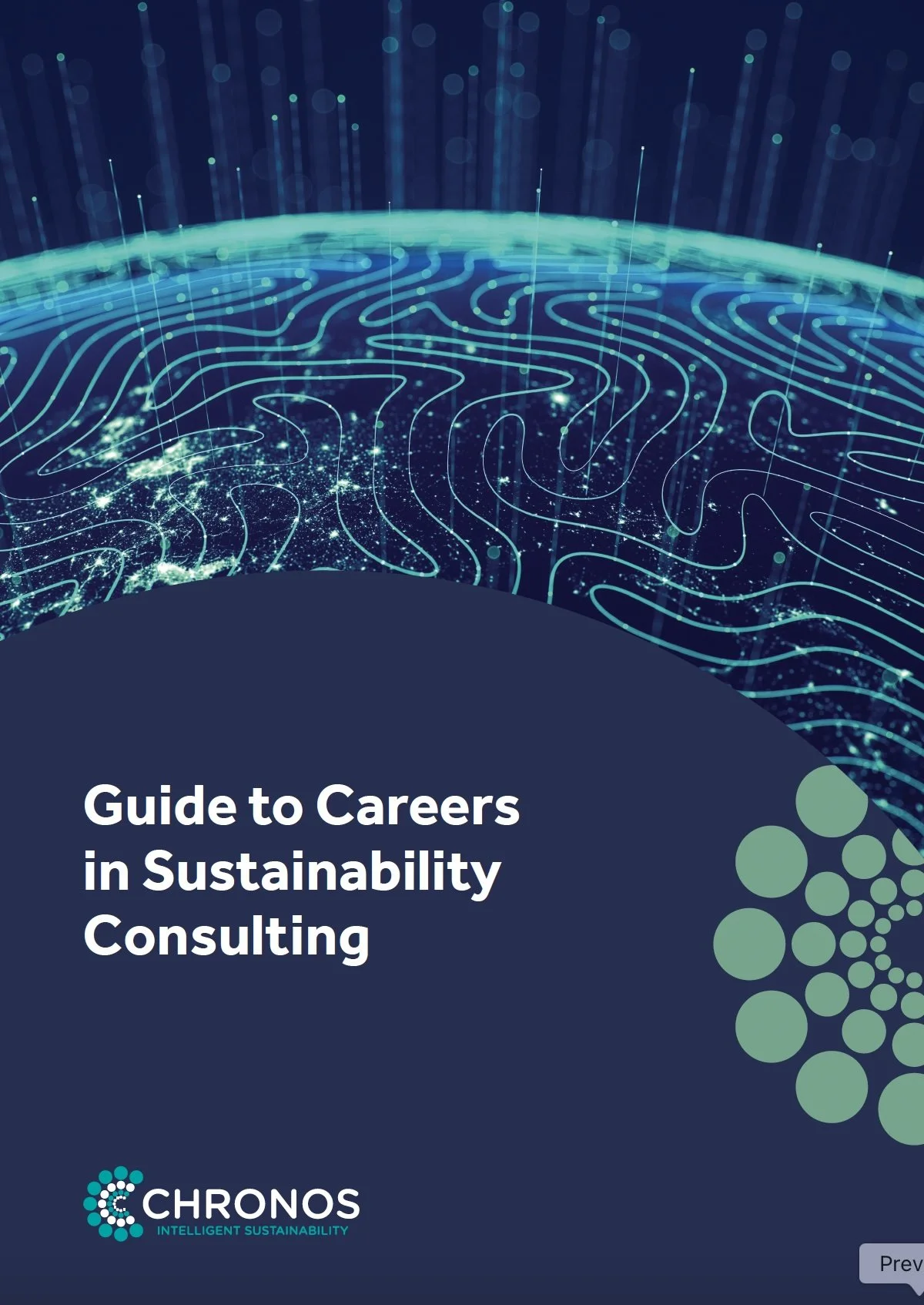 New Publication: Building a Career in Sustainability Consulting