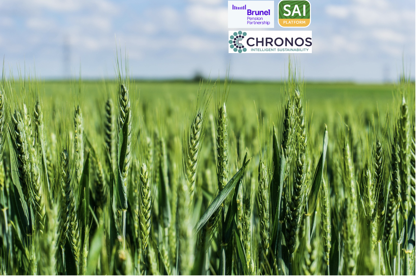 Investor Stewardship for Scaling Regenerative Agriculture