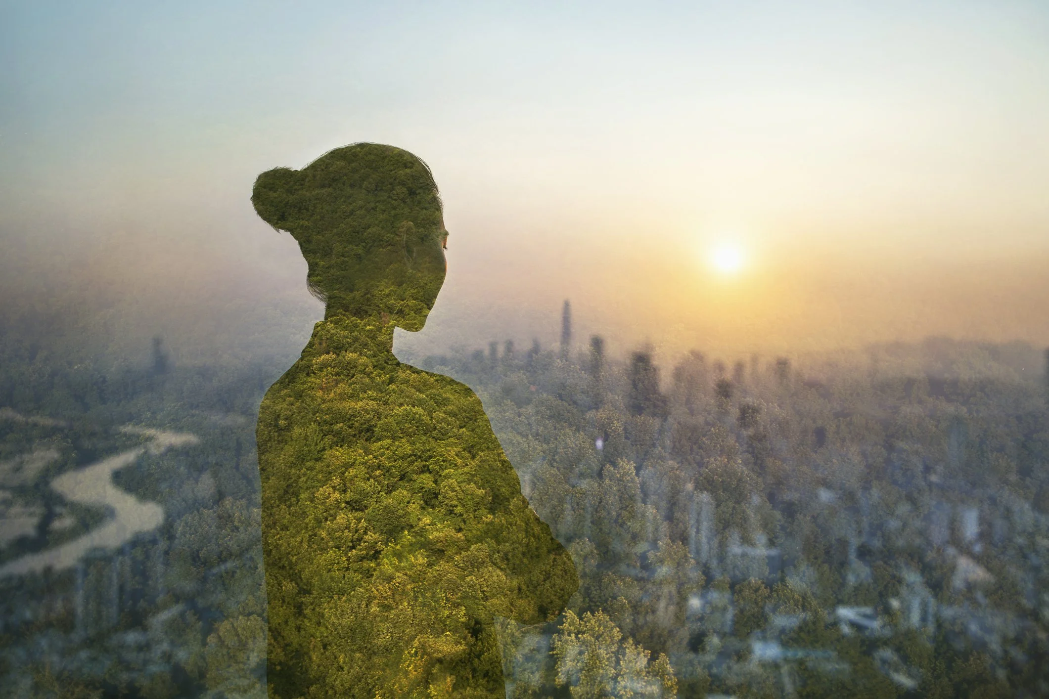 Are Investors Going Wild? Exploring Emerging Opportunities in Nature Finance  (newsletter feature)
