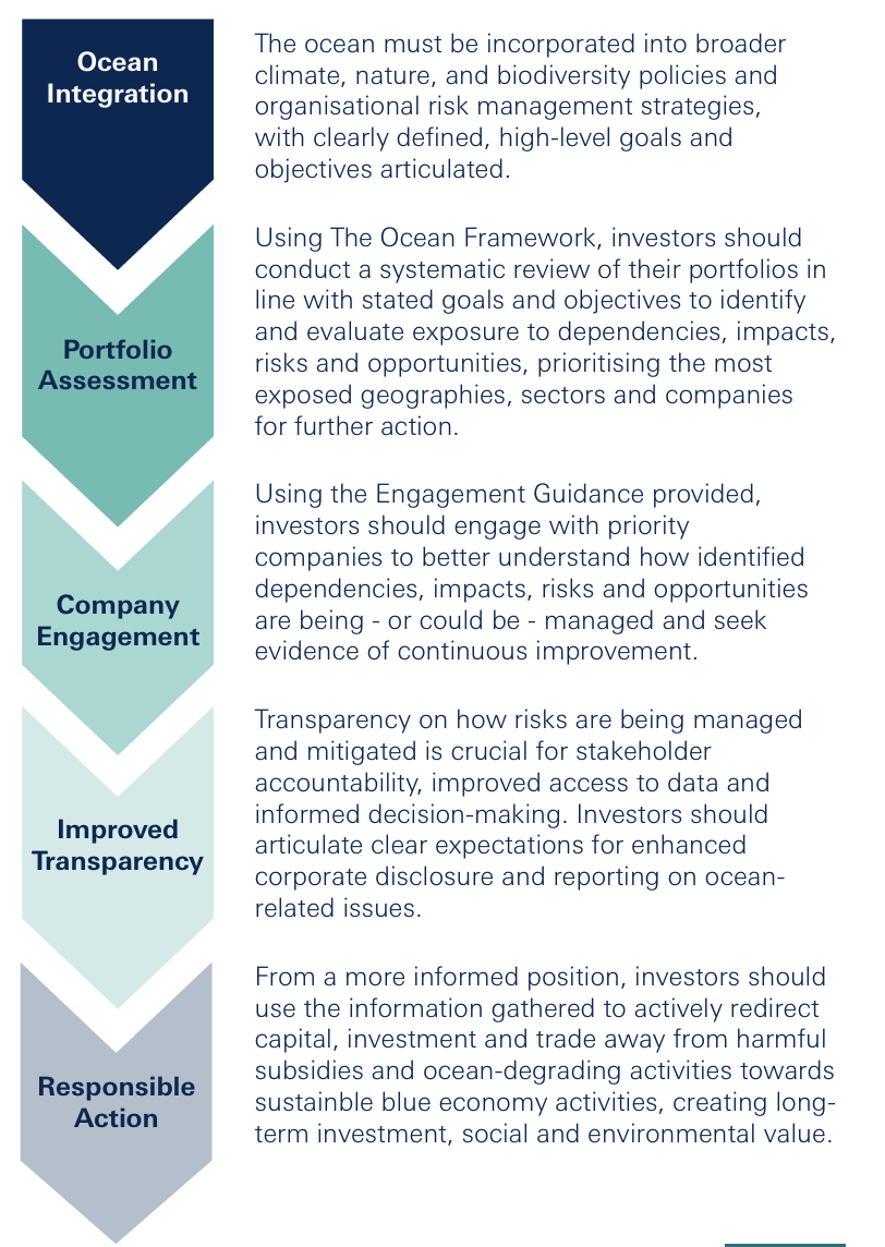 Diagram for investors