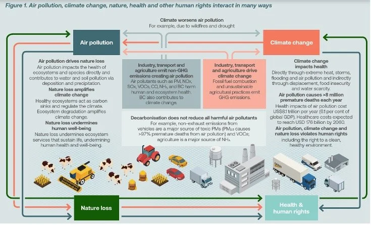 infographic