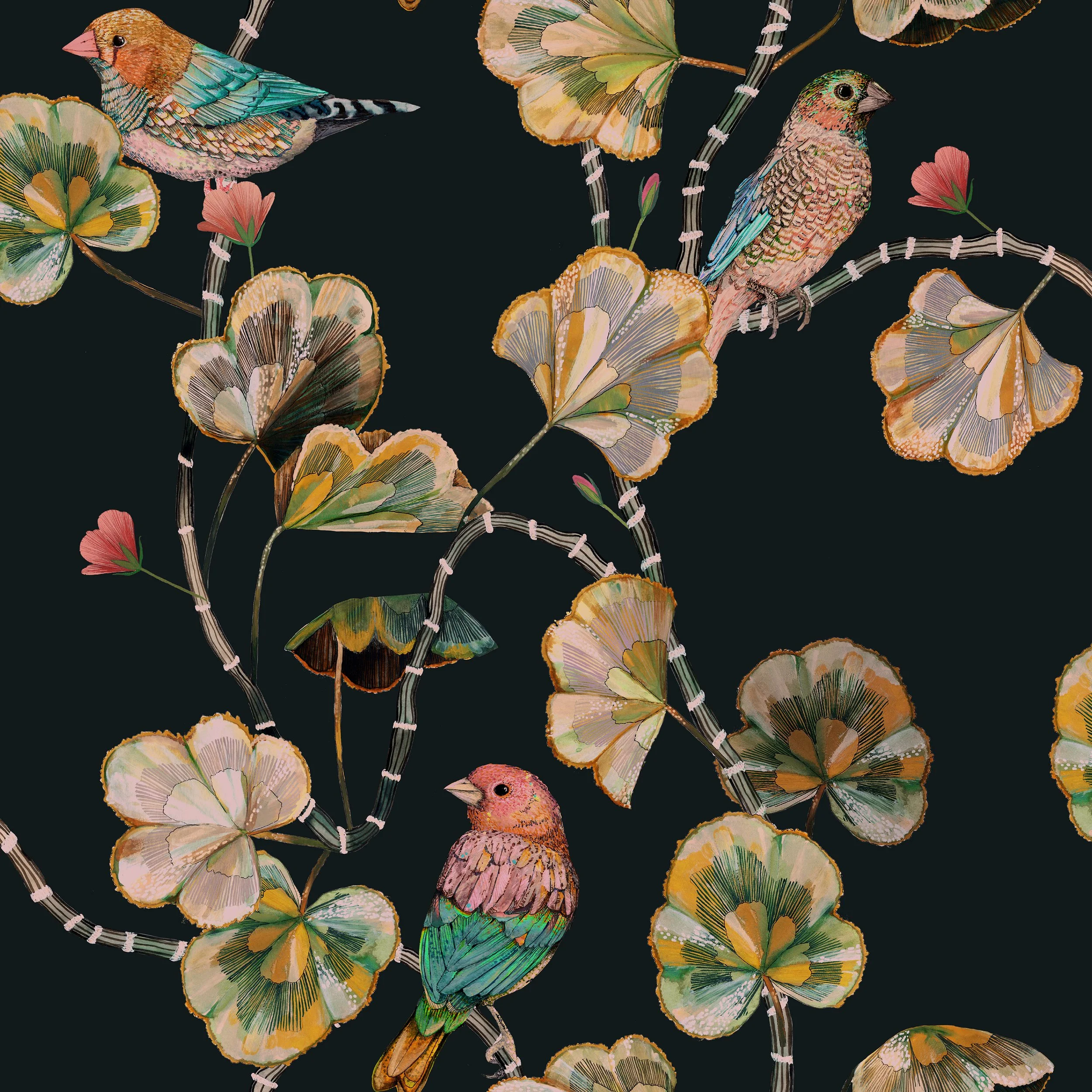 Darwin's Glasshouse - Moon