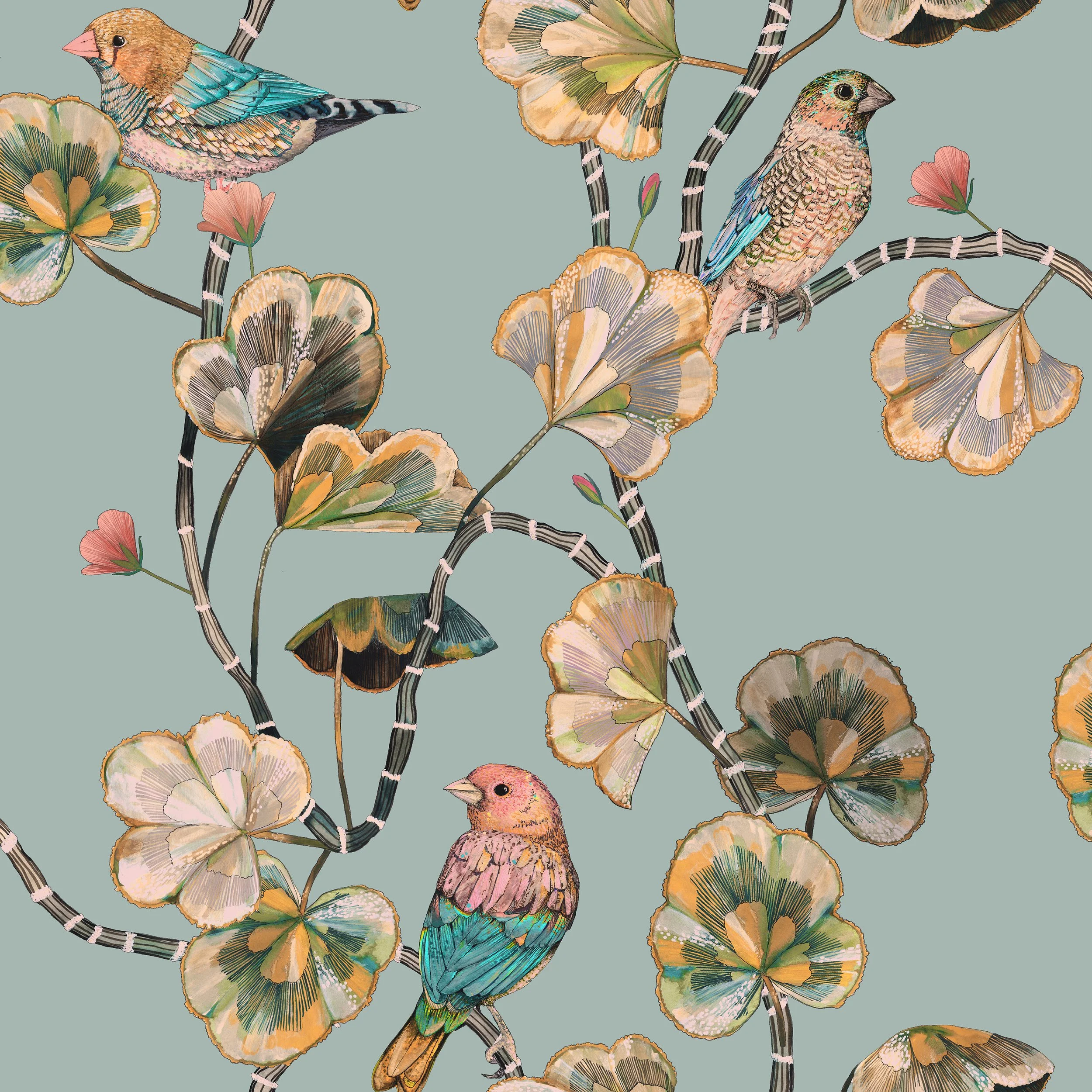 Darwin's Glasshouse - Hazy Blue