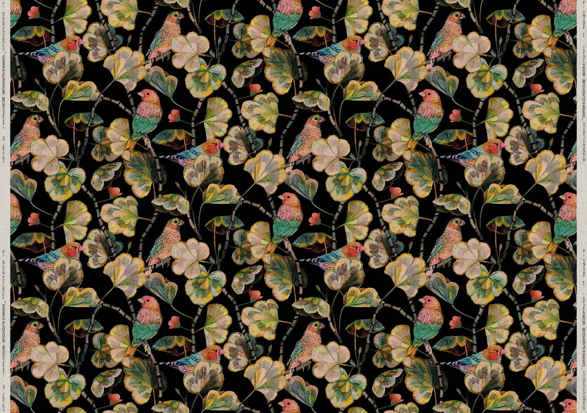 DARWIN'S GLASSHOUSE MOON full width web ready.jpg