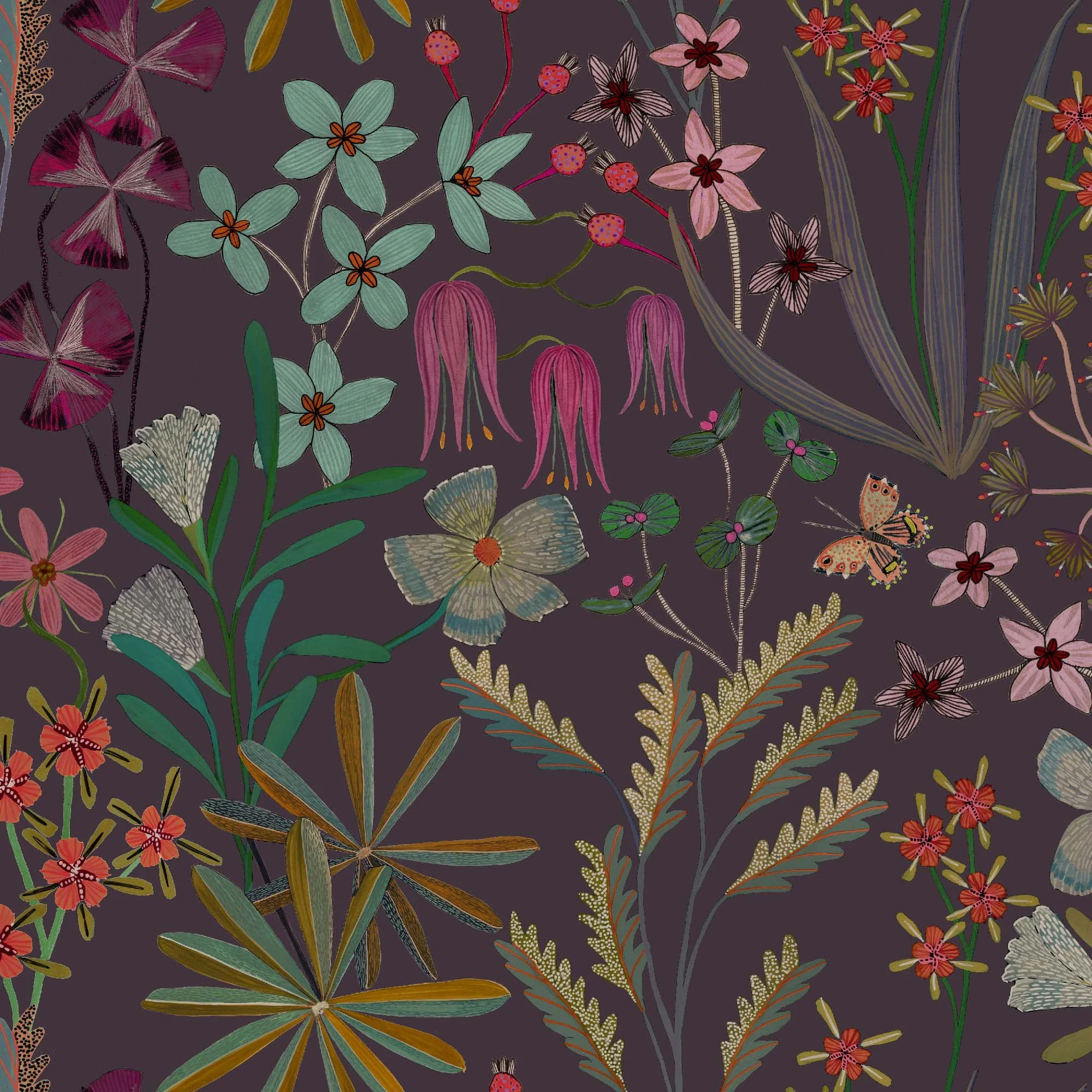 Summer's Garden - Oxalis