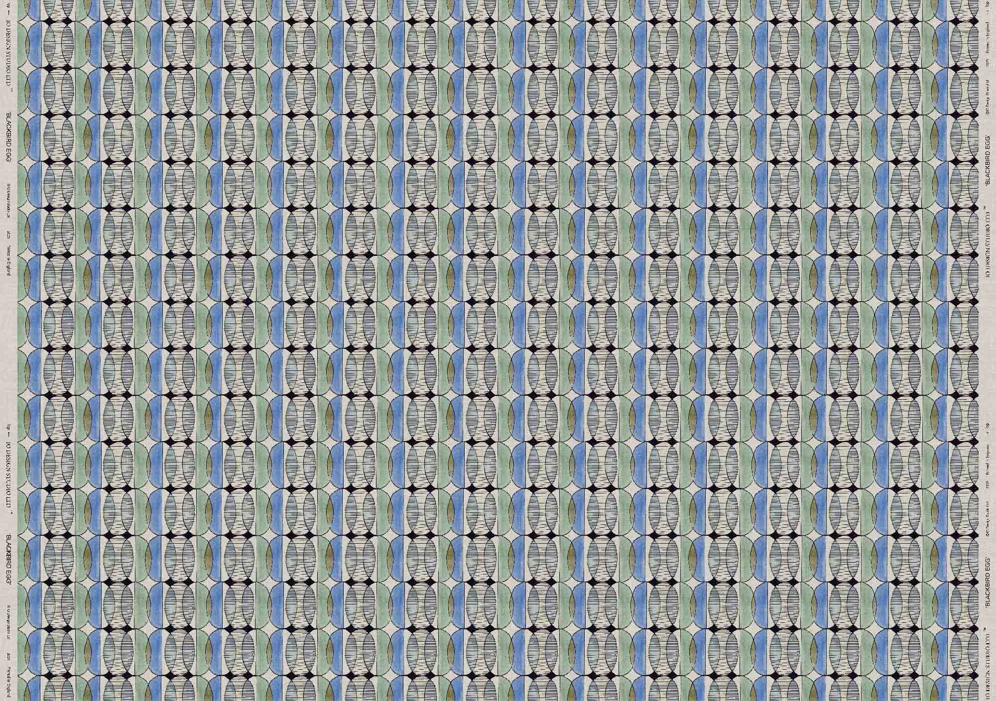 BLACKBIRD EGG full width web ready.jpg