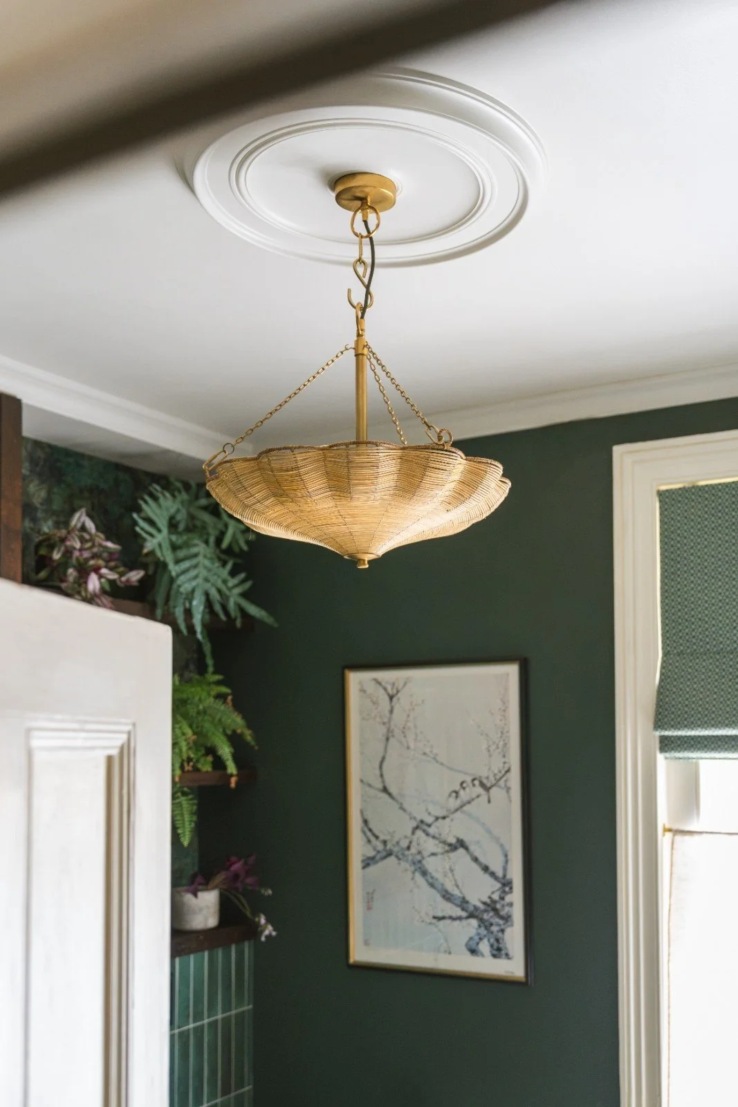 A decorative ceiling light with a wicker shade hanging from a ceiling medallion in a room with dark green walls, framed artwork, and plants.