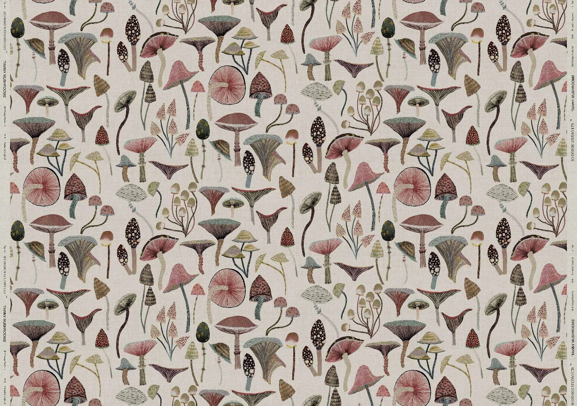 TAWNY MUSHROOMS full width web ready.jpg