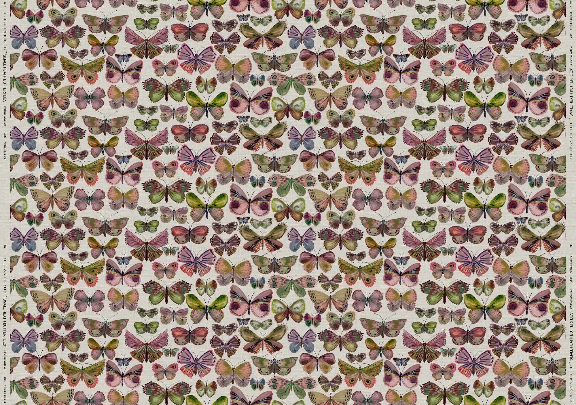 SMALL HEATH BUTTERFLIES full width web ready.jpg