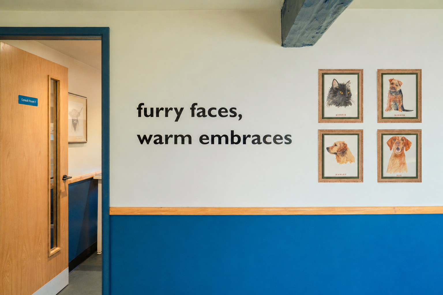 Veterinary clinic interior at Malthouse Vets with playful pet artwork, calming colour palette, and welcoming family-friendly design.