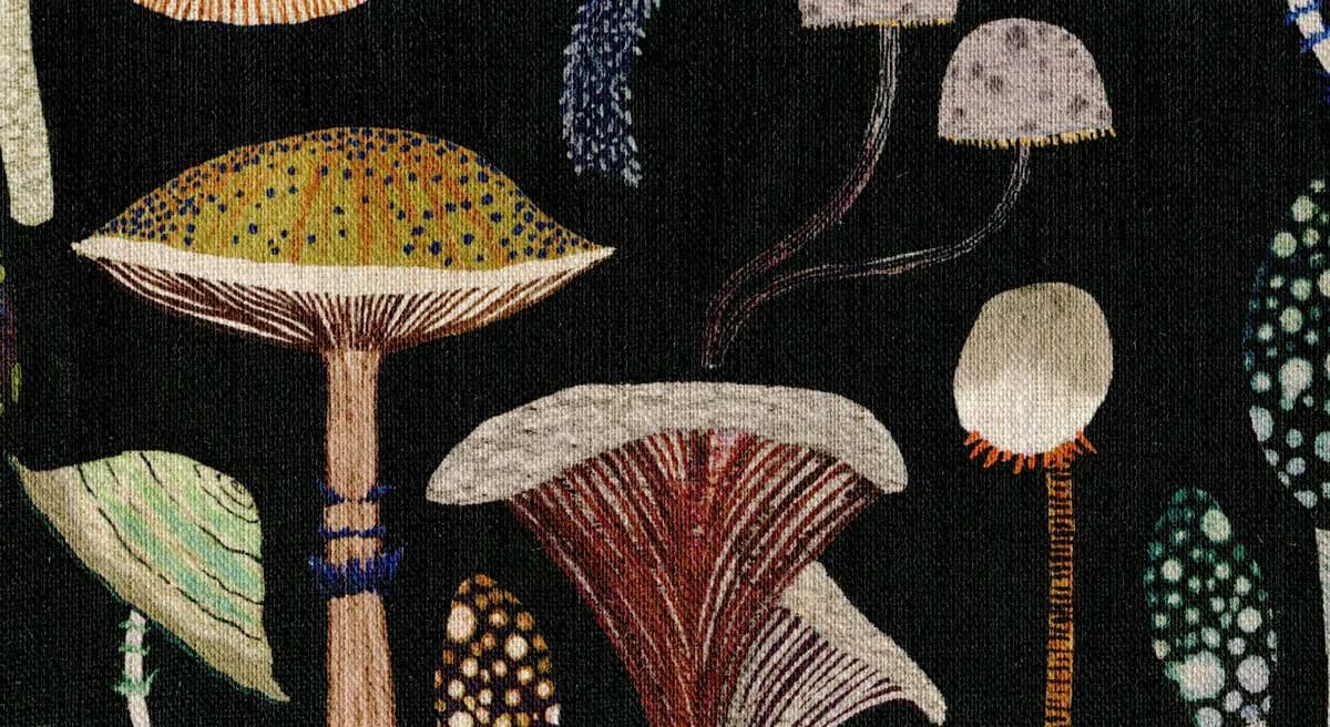 INKY-MUSHROOMS-photo-web-ready.jpg