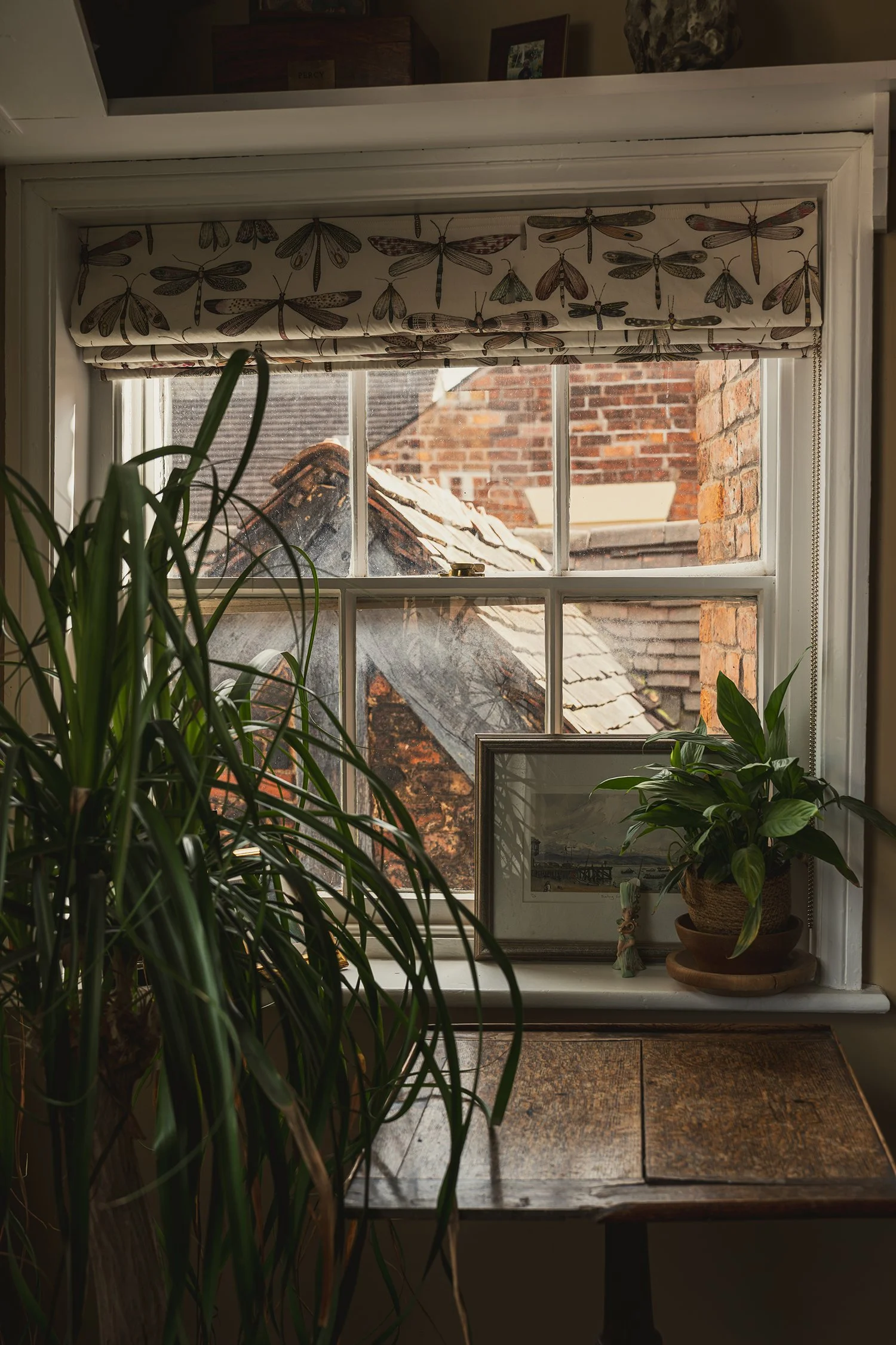 Townhouse bathroom window styling with botanical Roman blind, layered greenery, and soft natural light creating a calm restorative atmosphere.